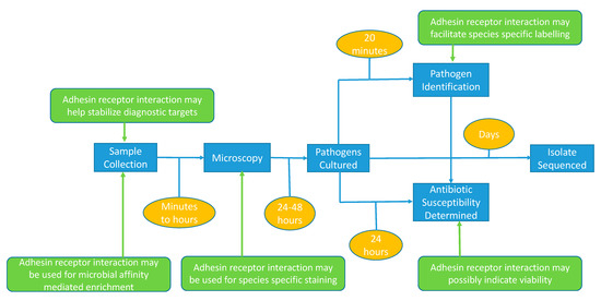 m_r_i Free Automated Malware Analysis Service - powered by Falcon