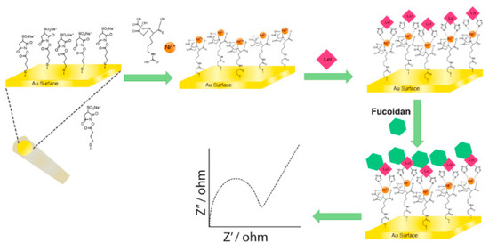 m_r_i The role of hypoxic signalling in metastasis: towards