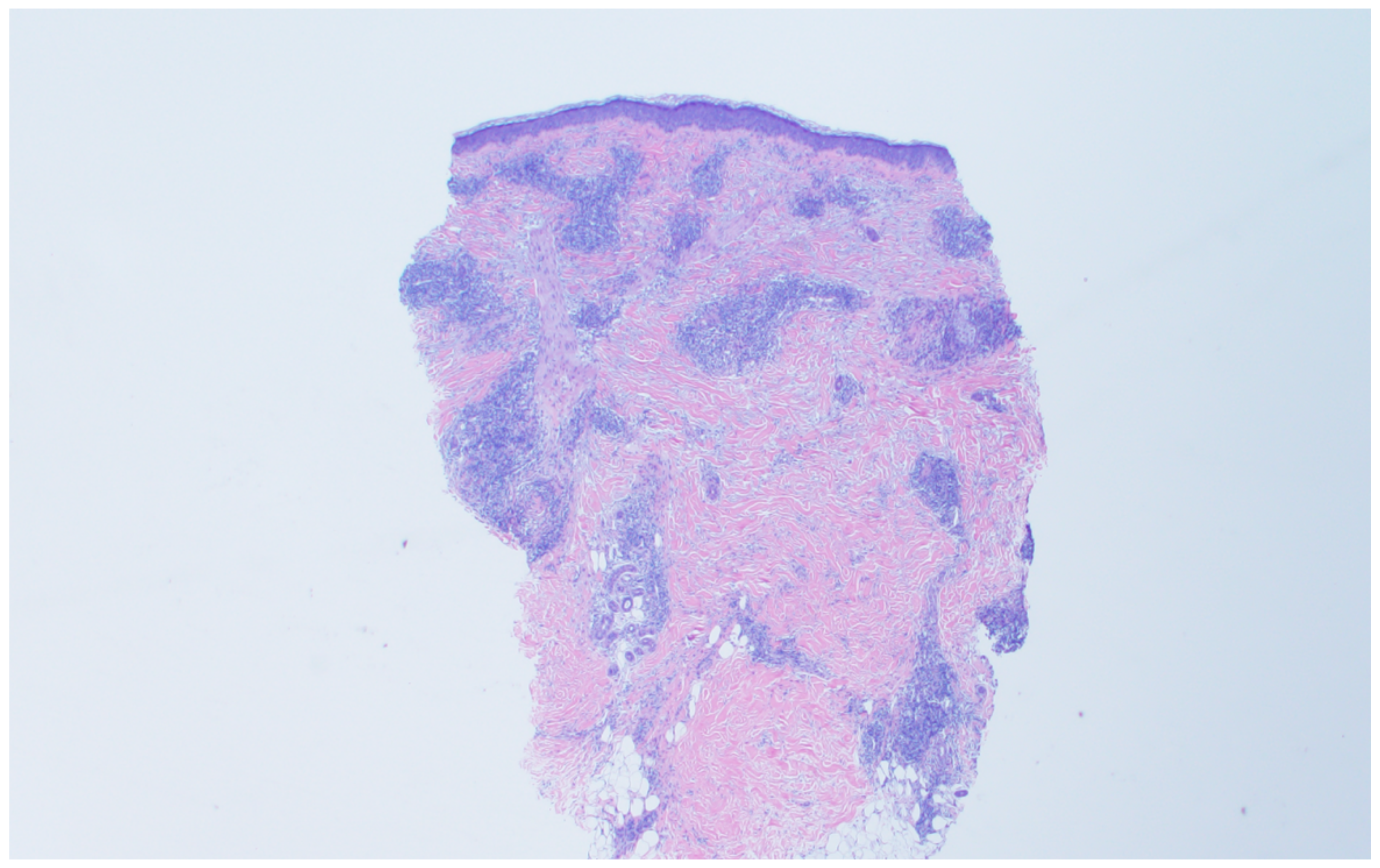 Diagnostics 11 01260 g004