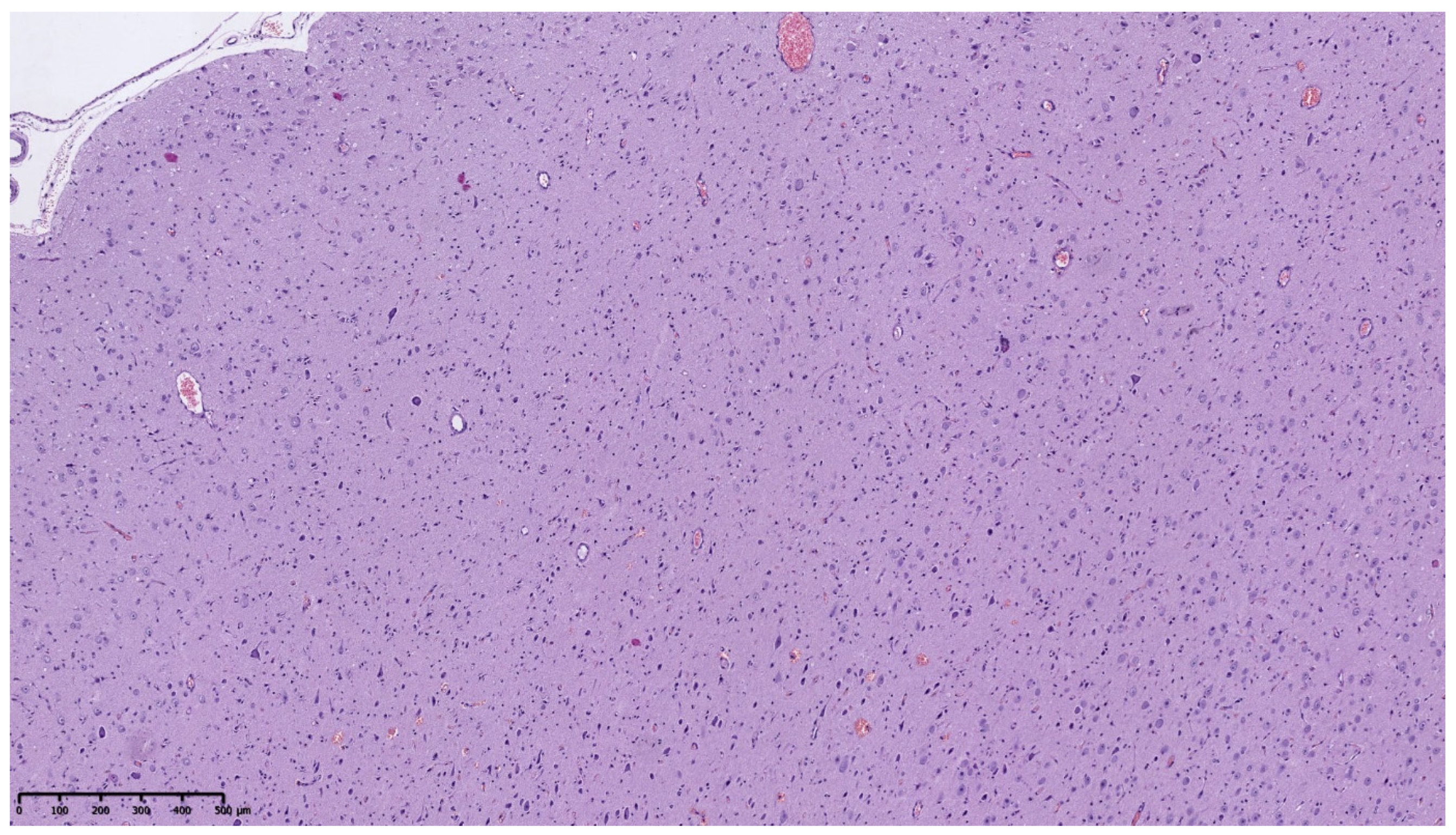 Diagnostics 11 01269 g002 Diagnostics 11 01269 g002