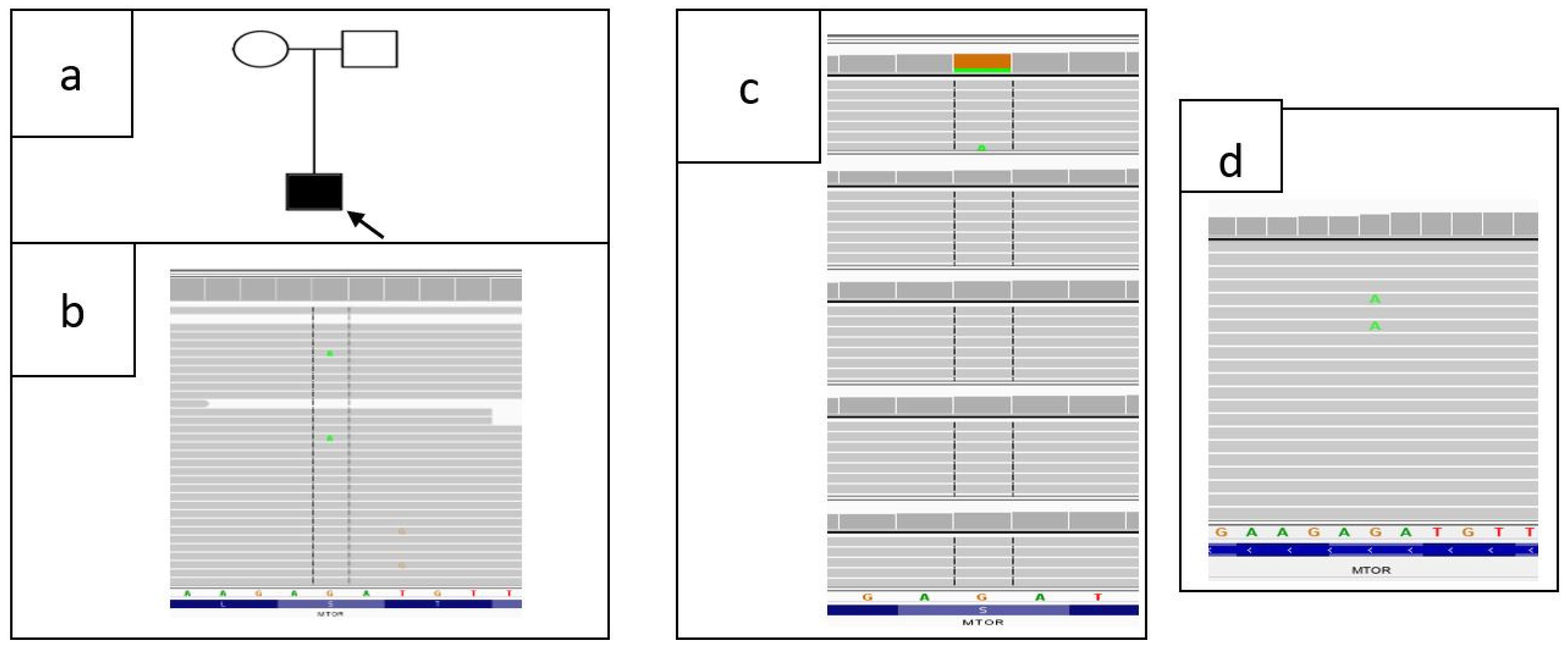 Diagnostics 11 01269 g008 Diagnostics 11 01269 g008