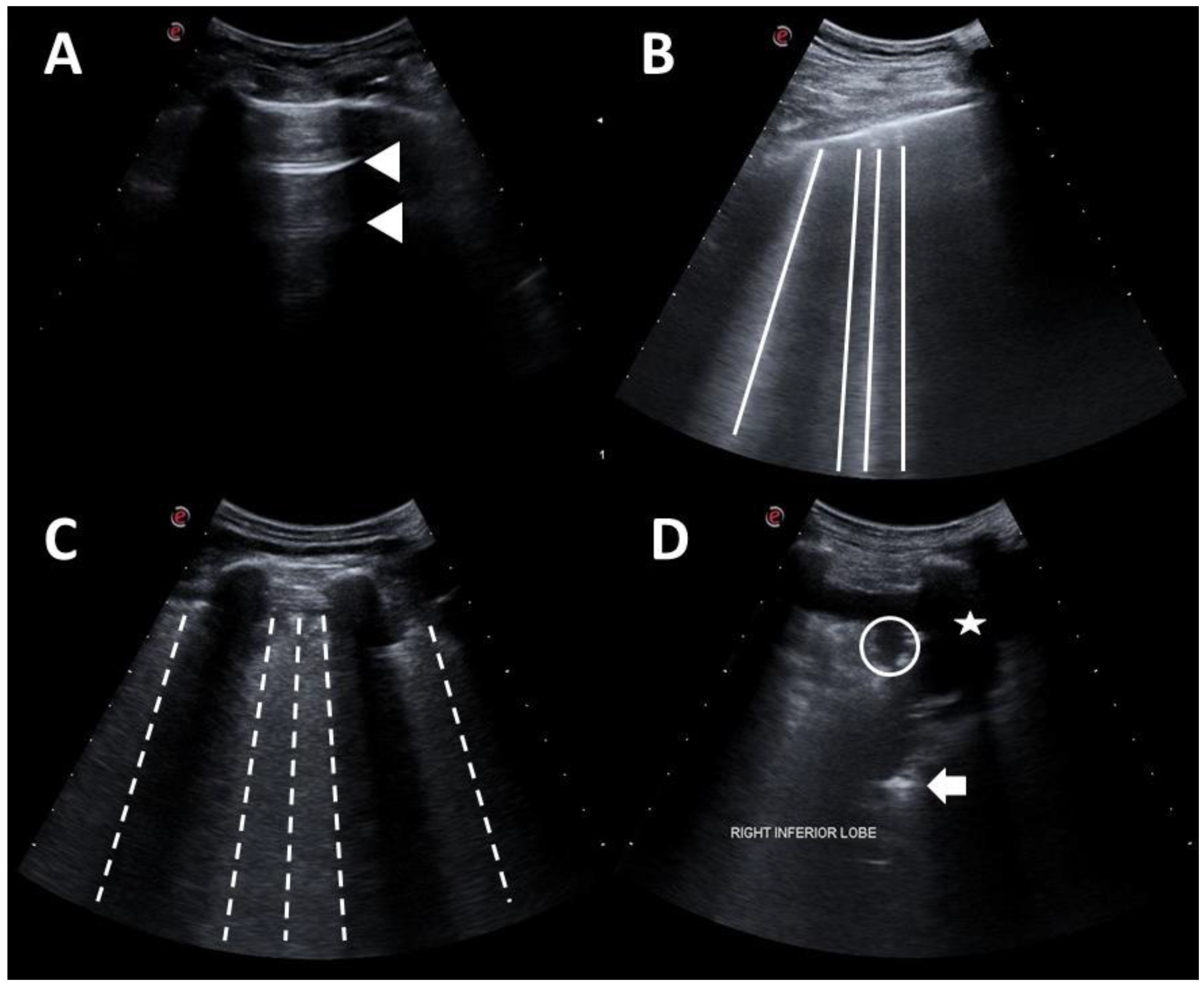 Diagnostics 11 01271 g002 550