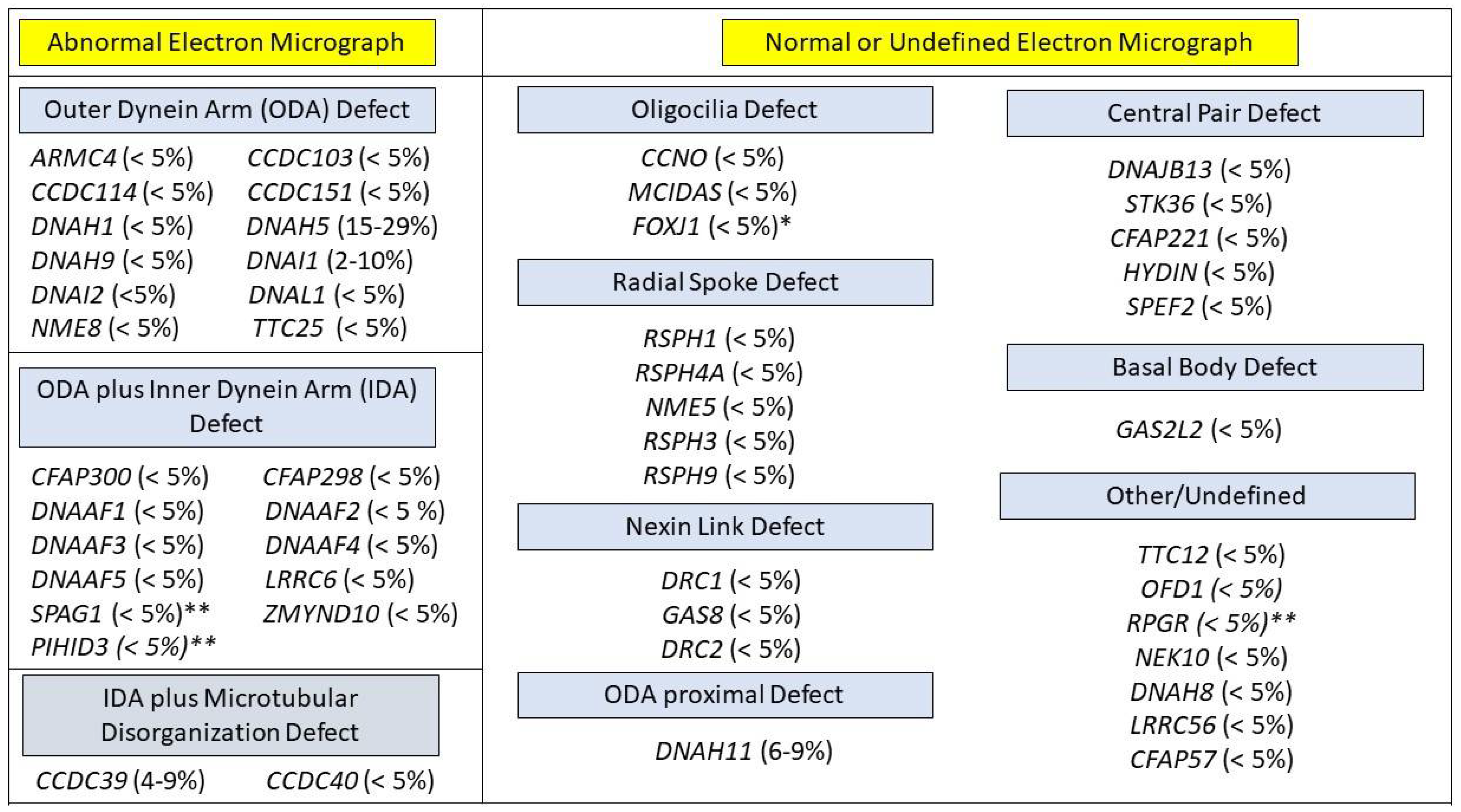 Diagnostics 11 01278 g002 Diagnostics 11 01278 g002