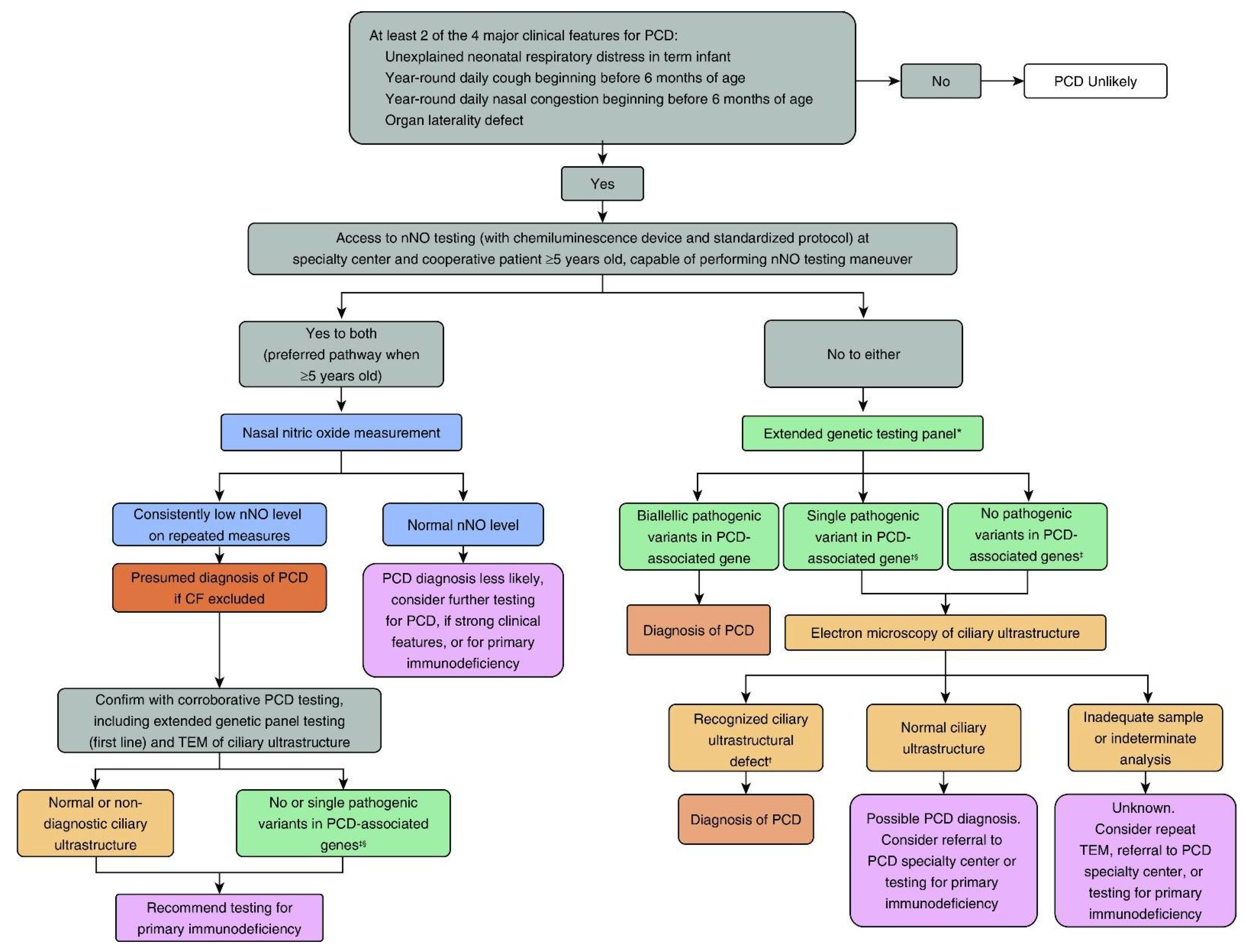 Diagnostics 11 01278 g003 Diagnostics 11 01278 g003