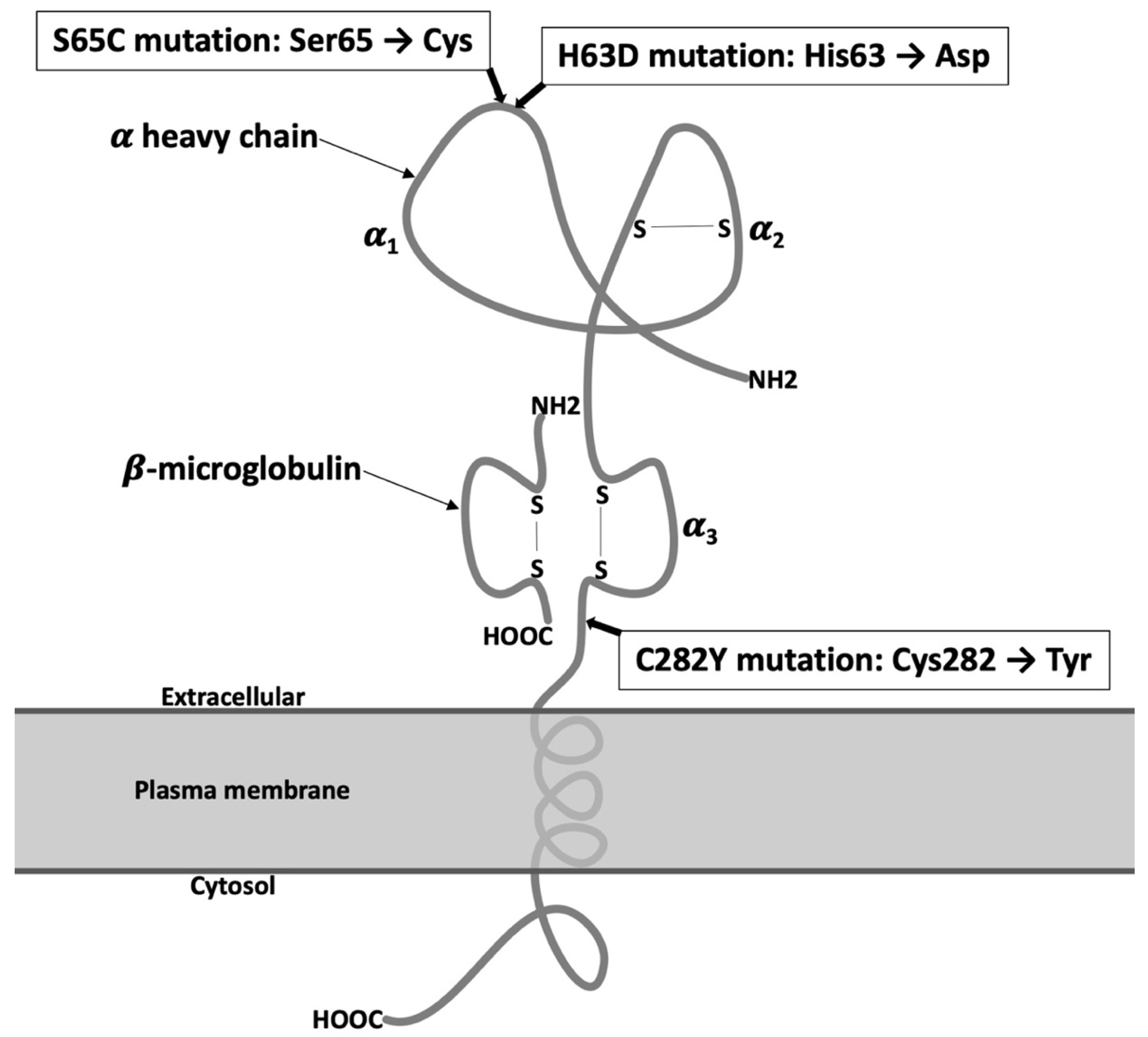 Diagnostics 11 01279 g001