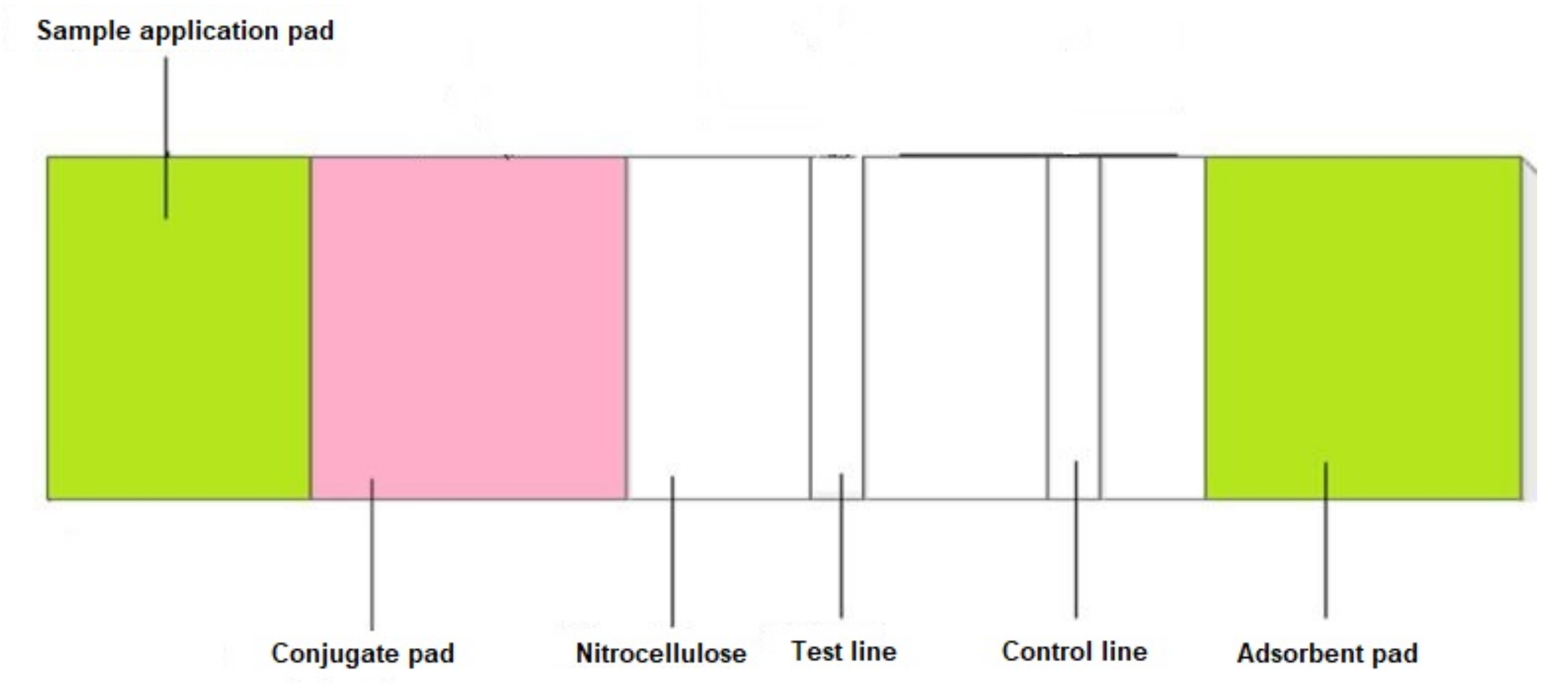 Diagnostics 11 01285 g002