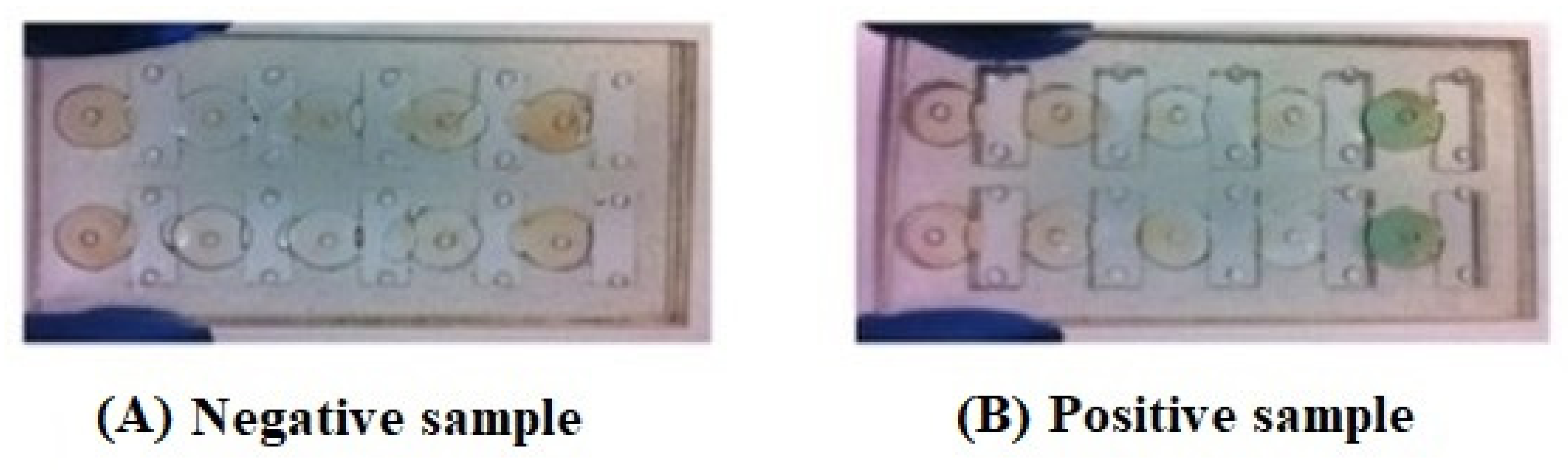 Diagnostics 11 01285 g003