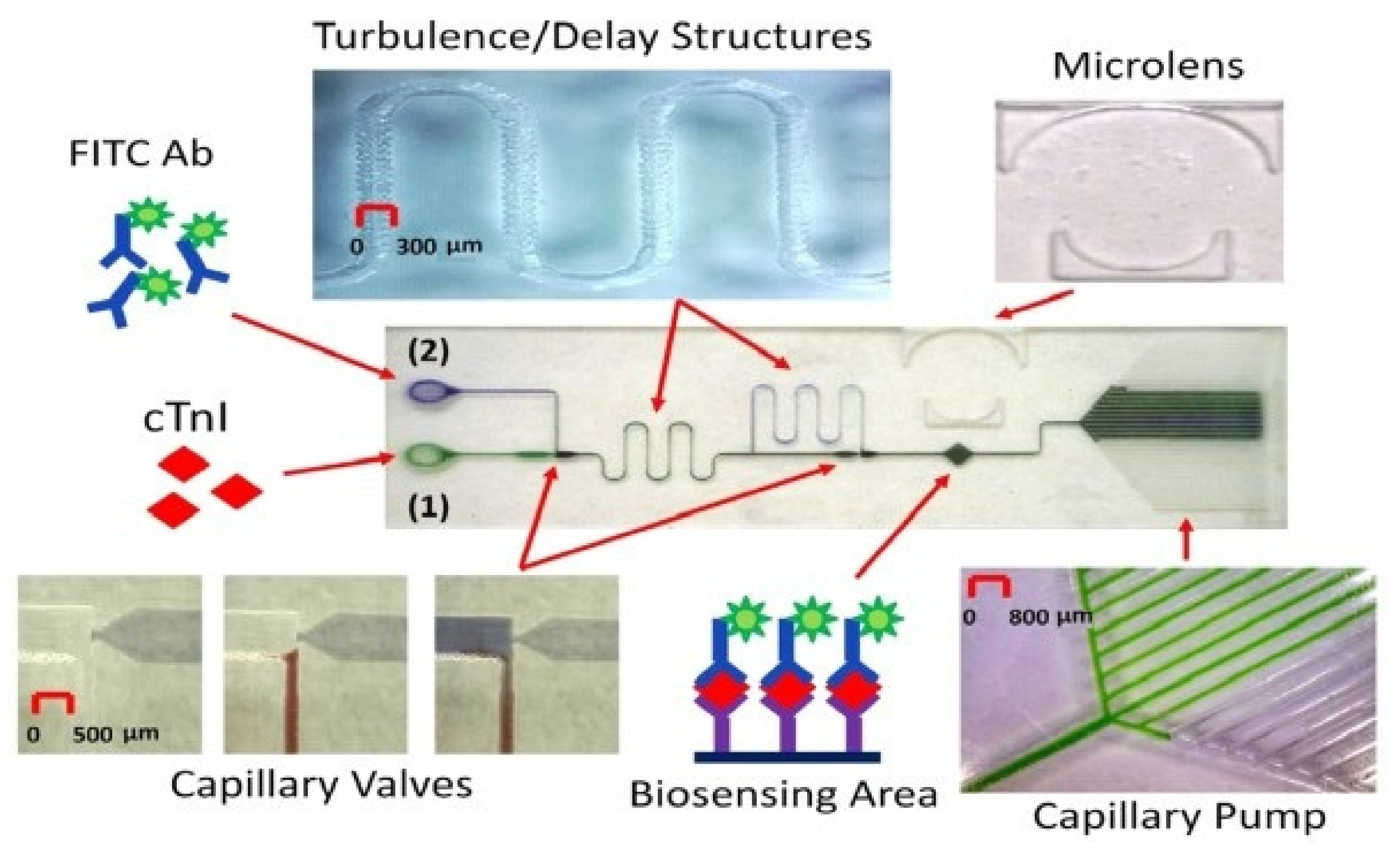 Diagnostics 11 01285 g004