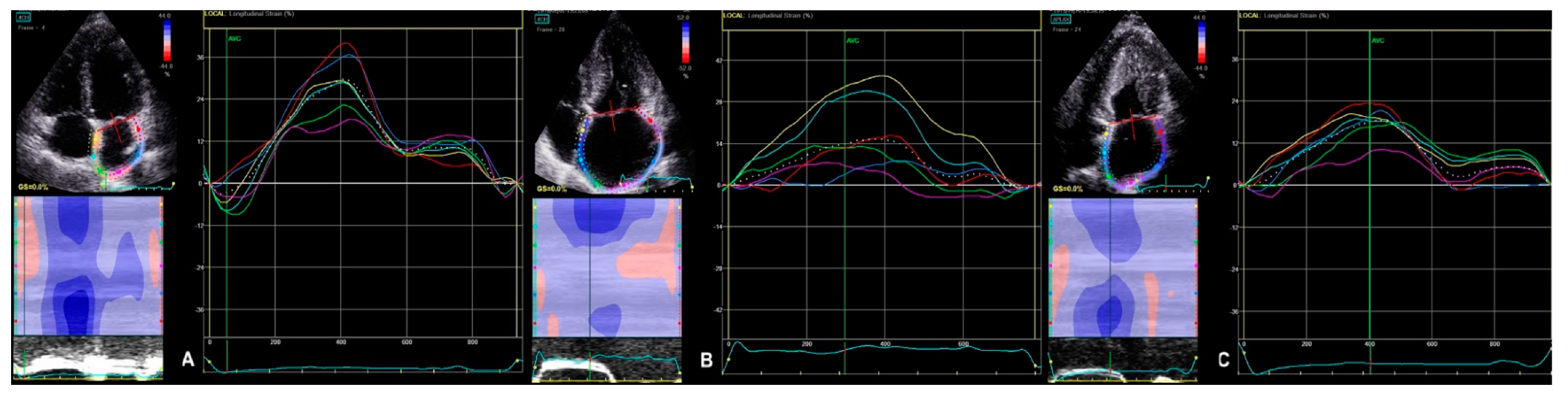 Diagnostics 11 01288 g002