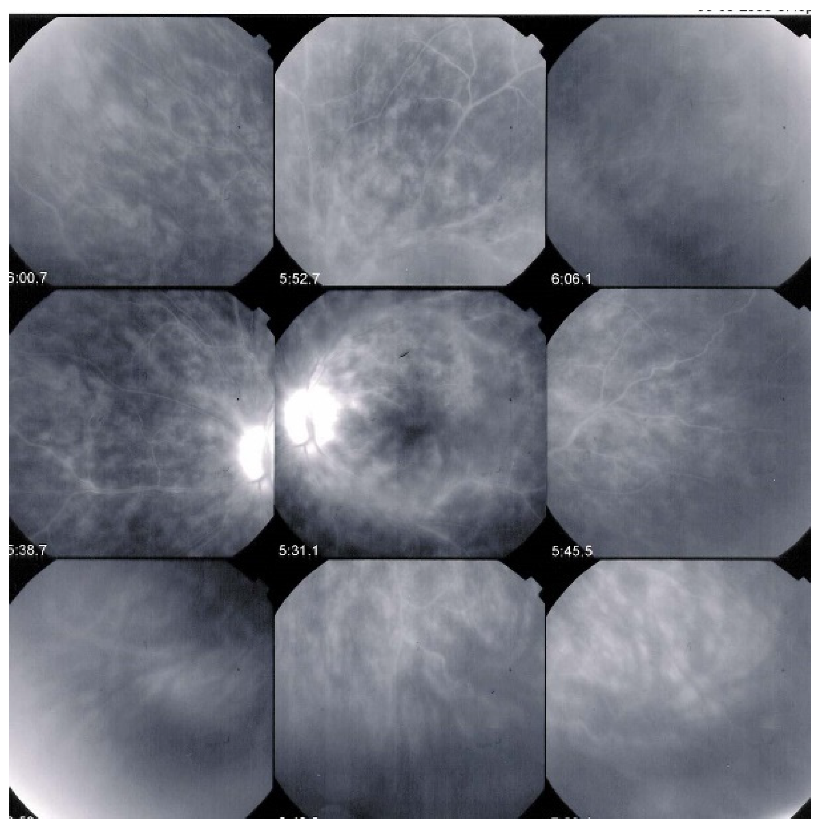 Diagnostics 11 01291 g003 Diagnostics 11 01291 g003