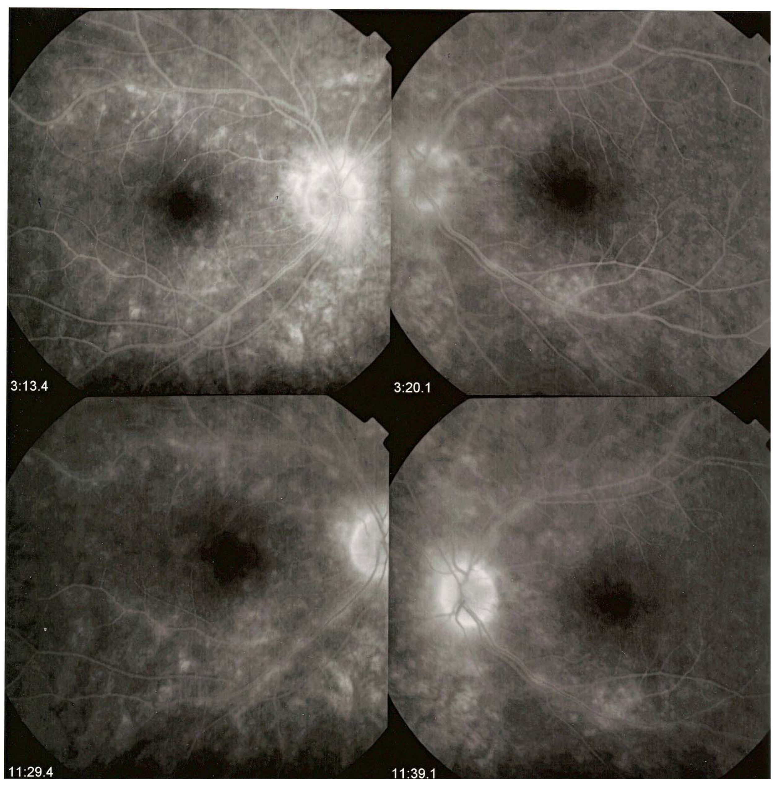 Diagnostics 11 01291 g004 Diagnostics 11 01291 g004