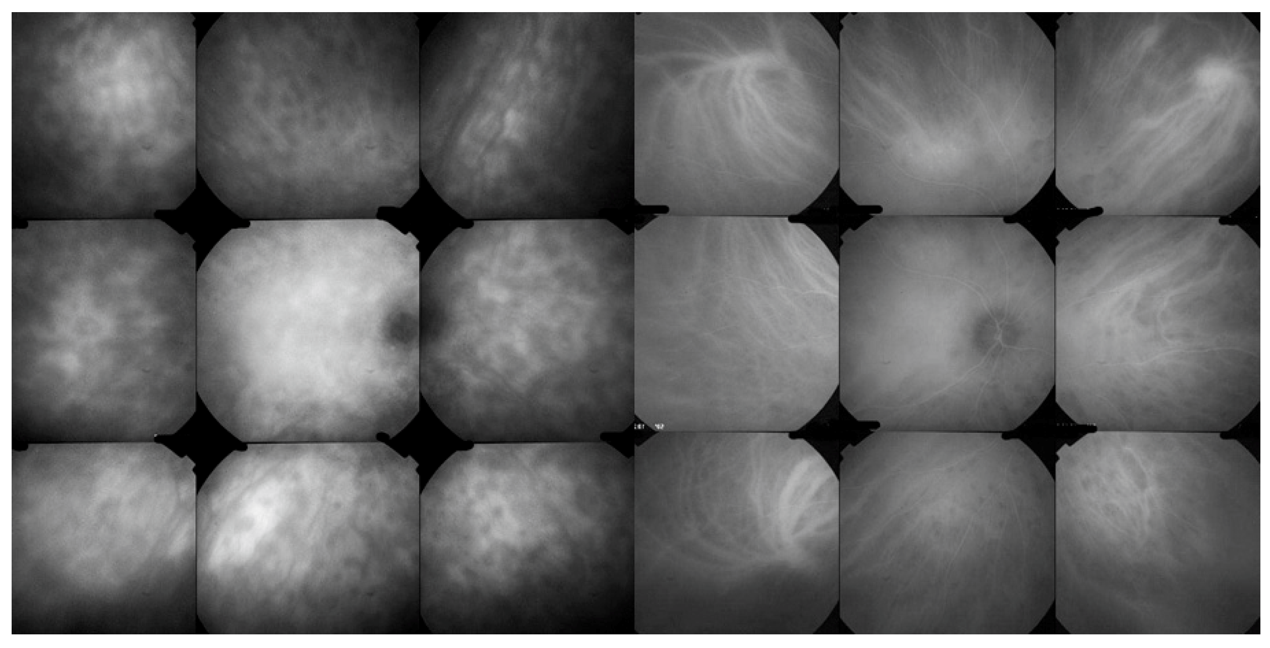 Diagnostics 11 01291 g010 Diagnostics 11 01291 g010