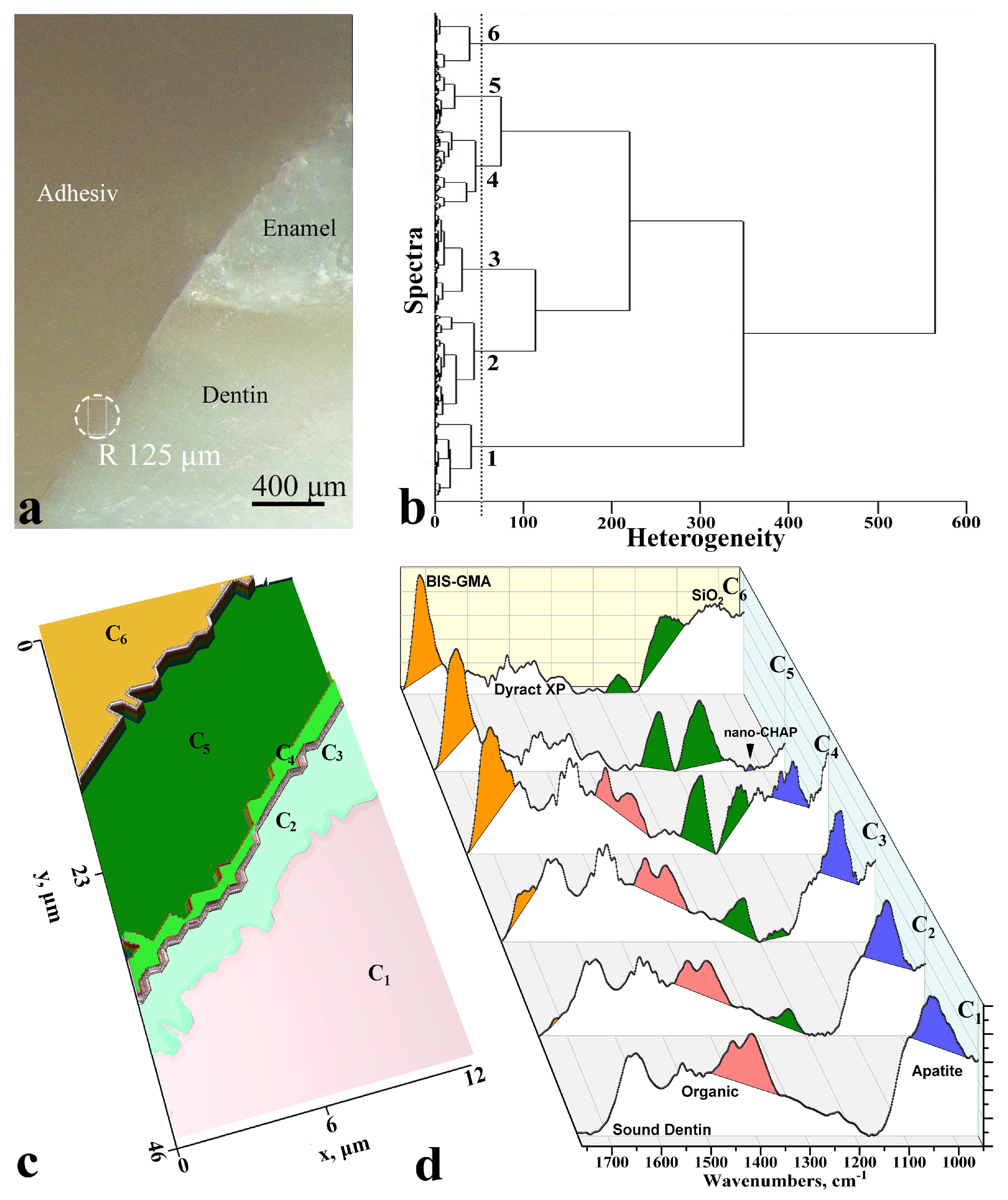 Diagnostics 11 01294 g001