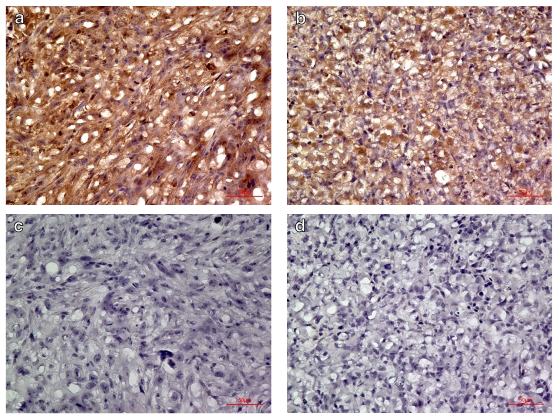 Diagnostics 11 01295 g005