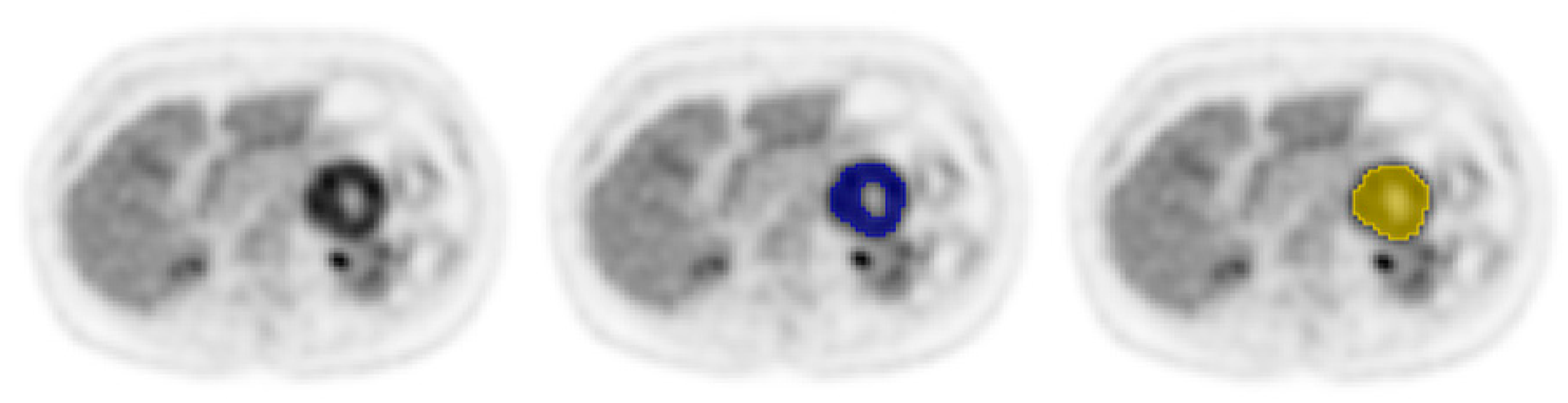 Diagnostics 11 01296 g001