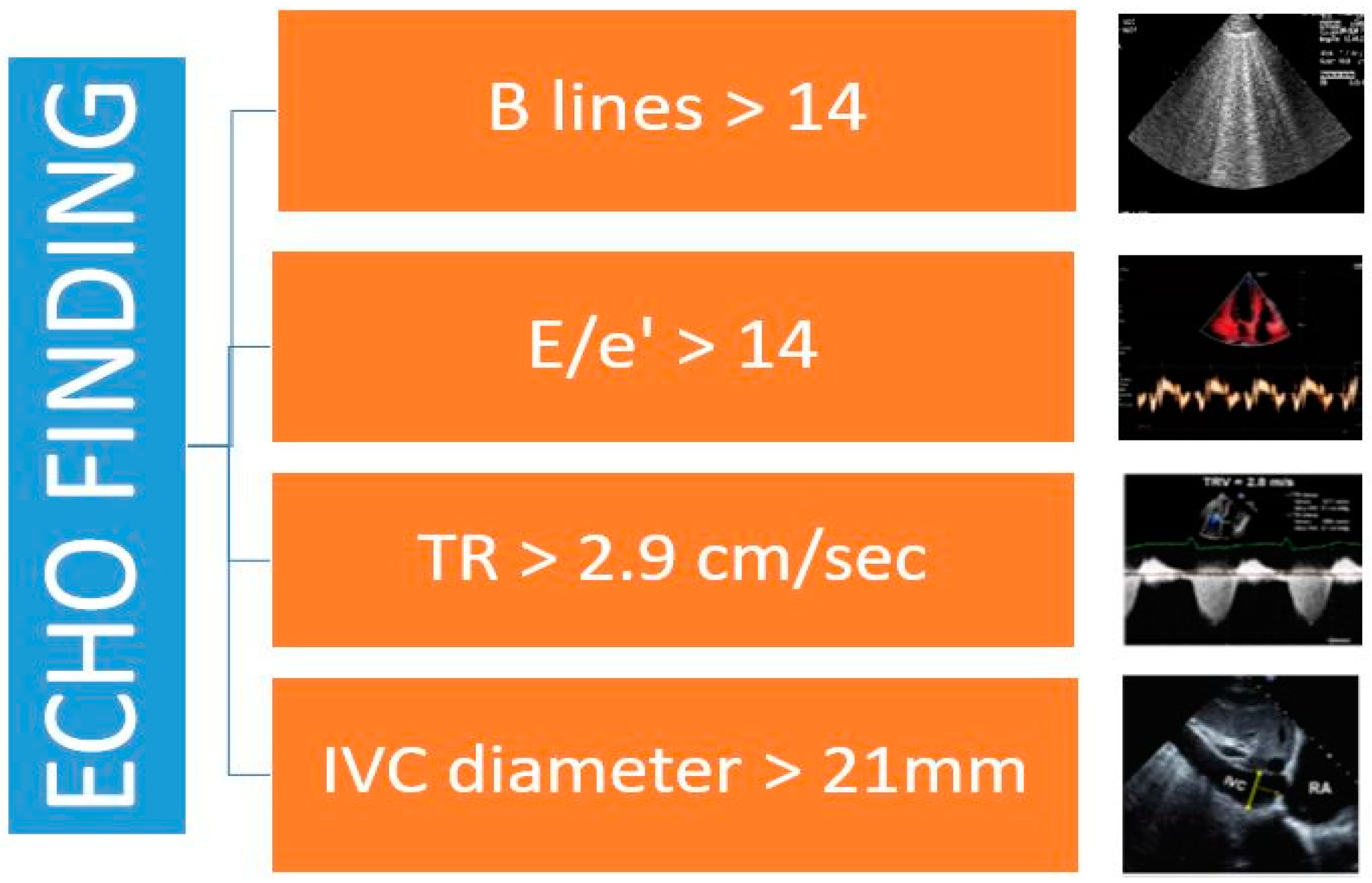 Diagnostics 11 01306 g002 550
