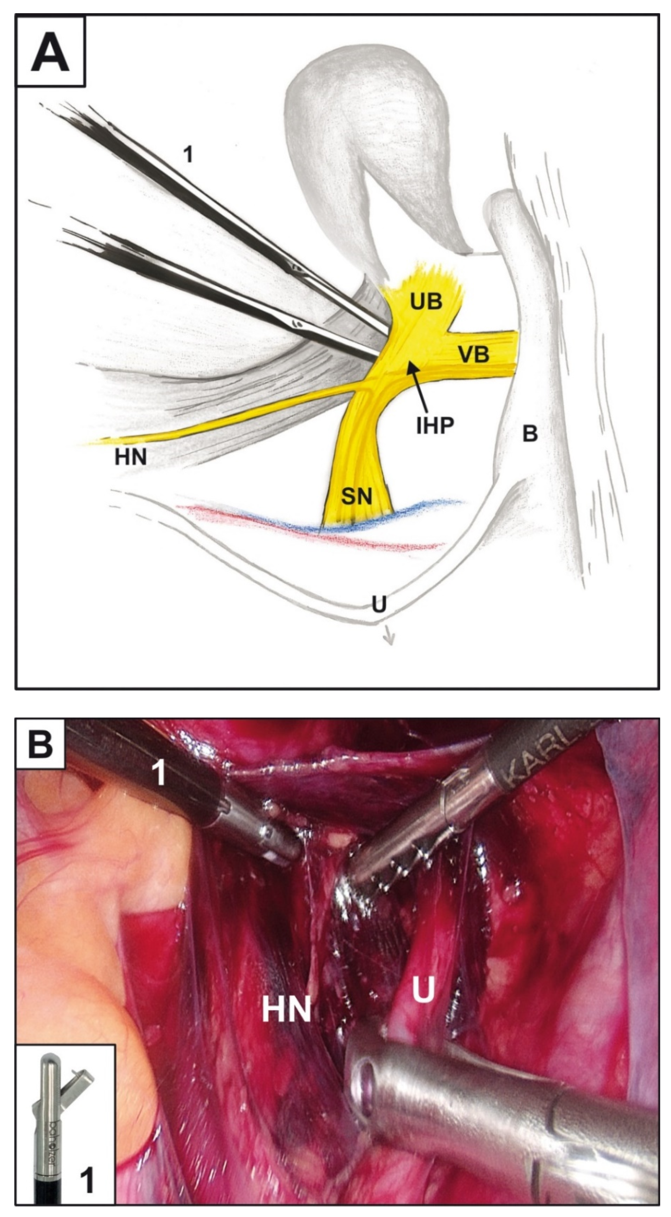 Diagnostics 11 01308 g001 550