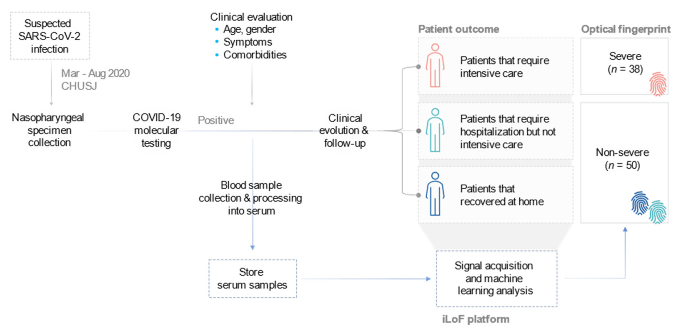 Diagnostics 11 01309 g001