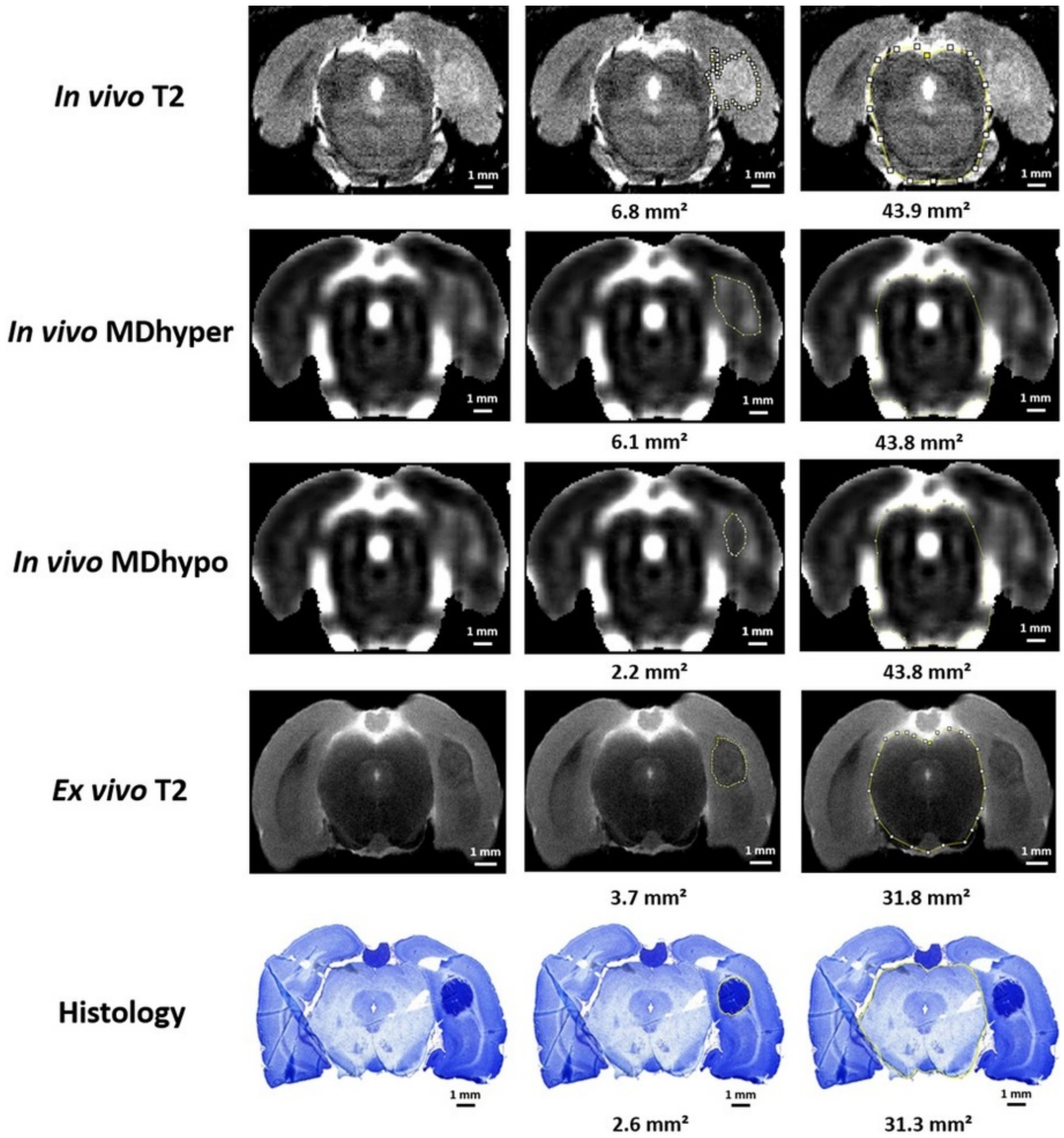 Diagnostics 11 01311 g001