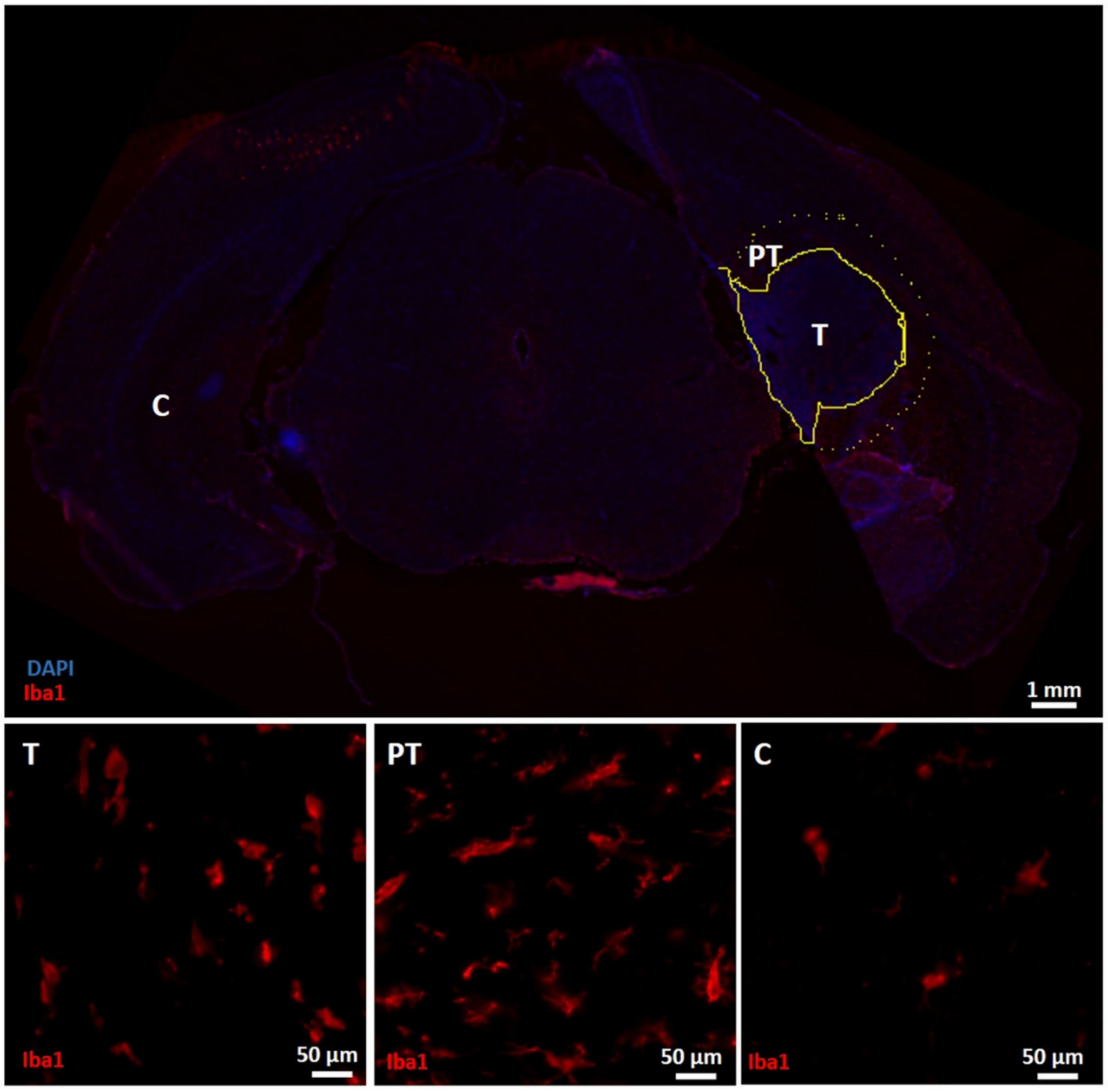 Diagnostics 11 01311 g005