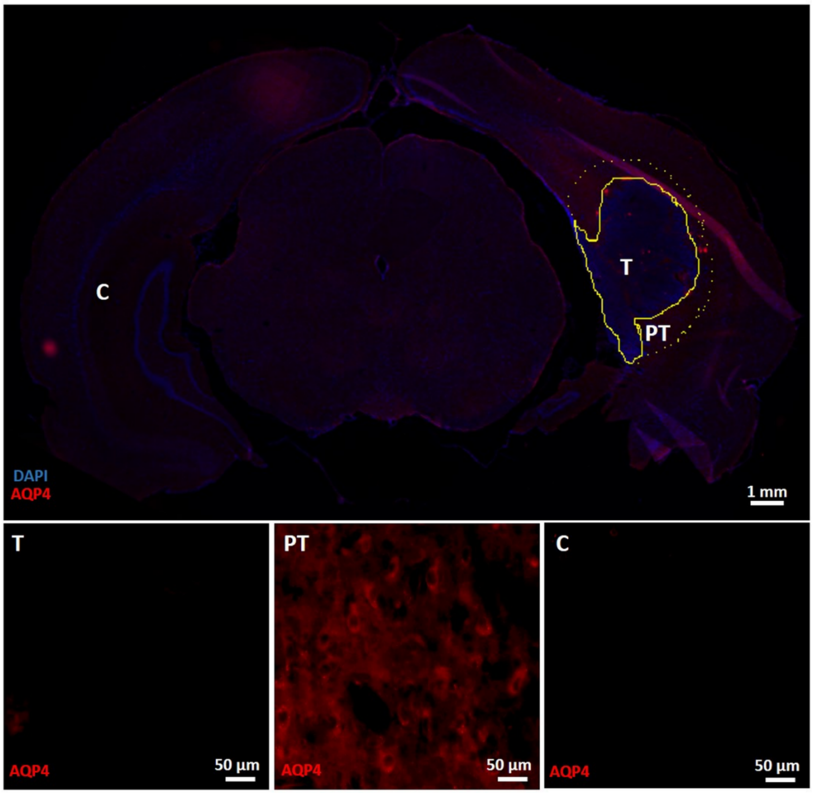 Diagnostics 11 01311 g006
