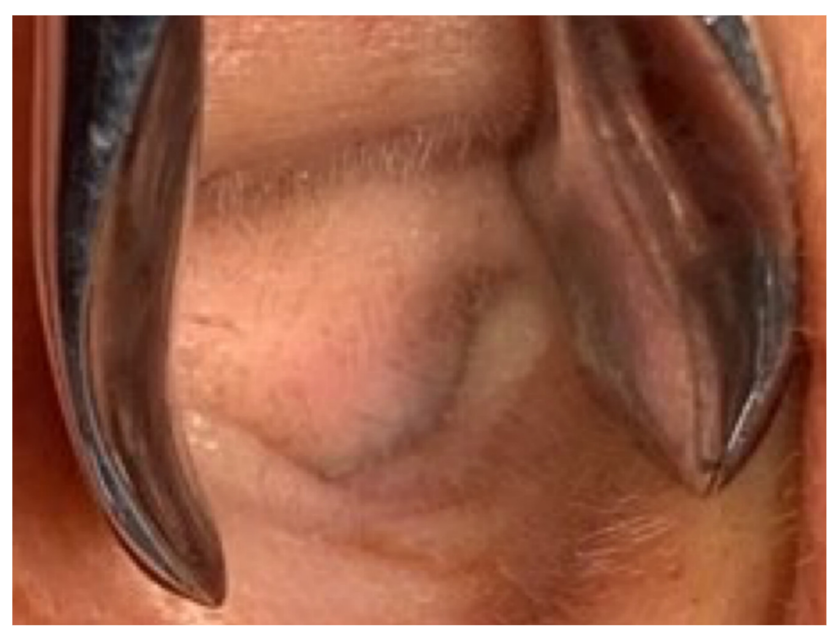 Diagnostics 11 01312 g001 Diagnostics 11 01312 g001