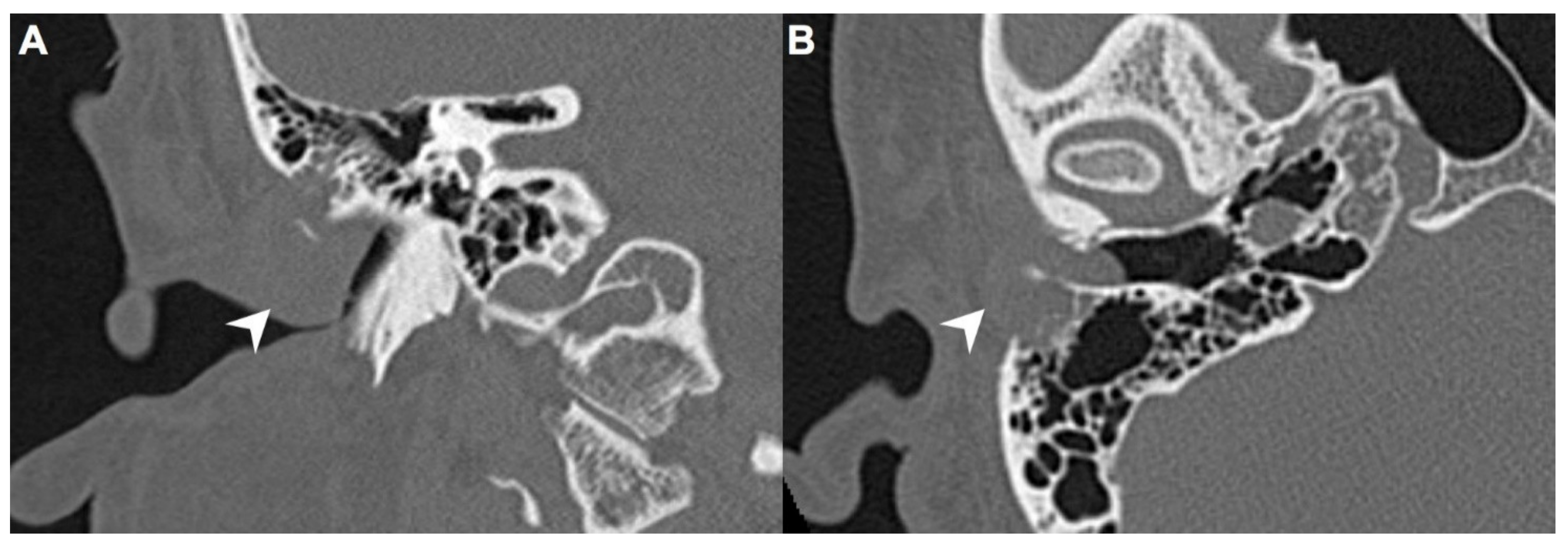 Diagnostics 11 01312 g002 Diagnostics 11 01312 g002
