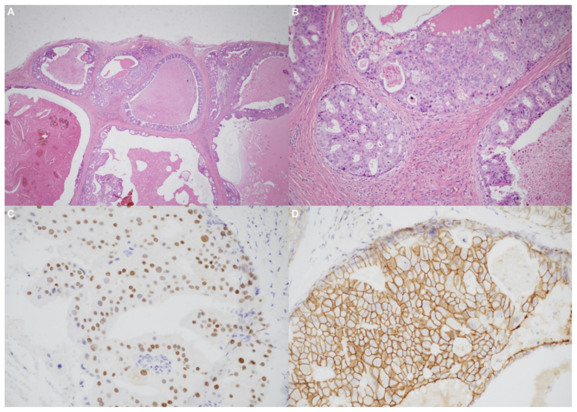 Diagnostics 11 01312 g005 Diagnostics 11 01312 g005