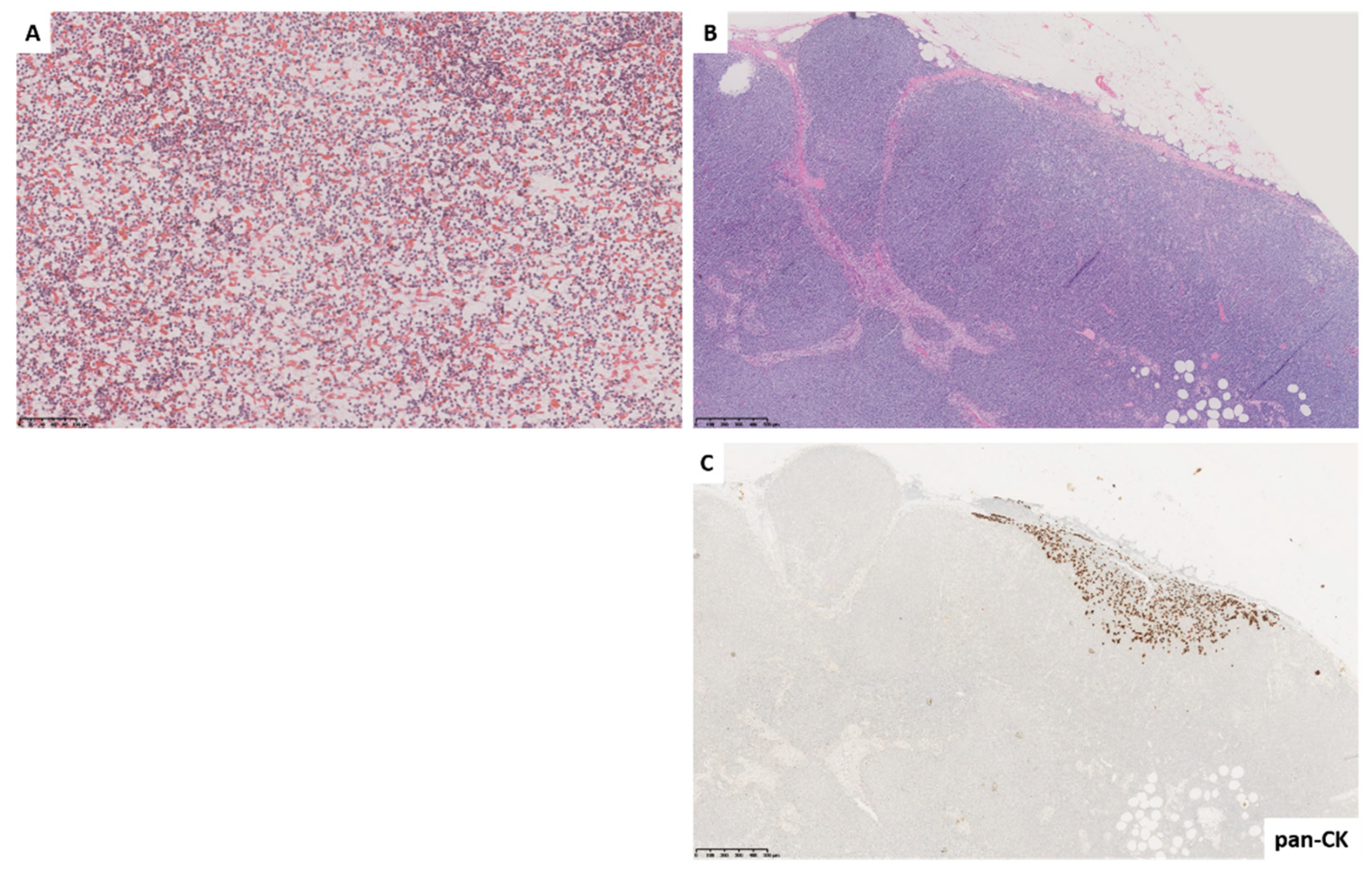 Diagnostics 11 01314 g001