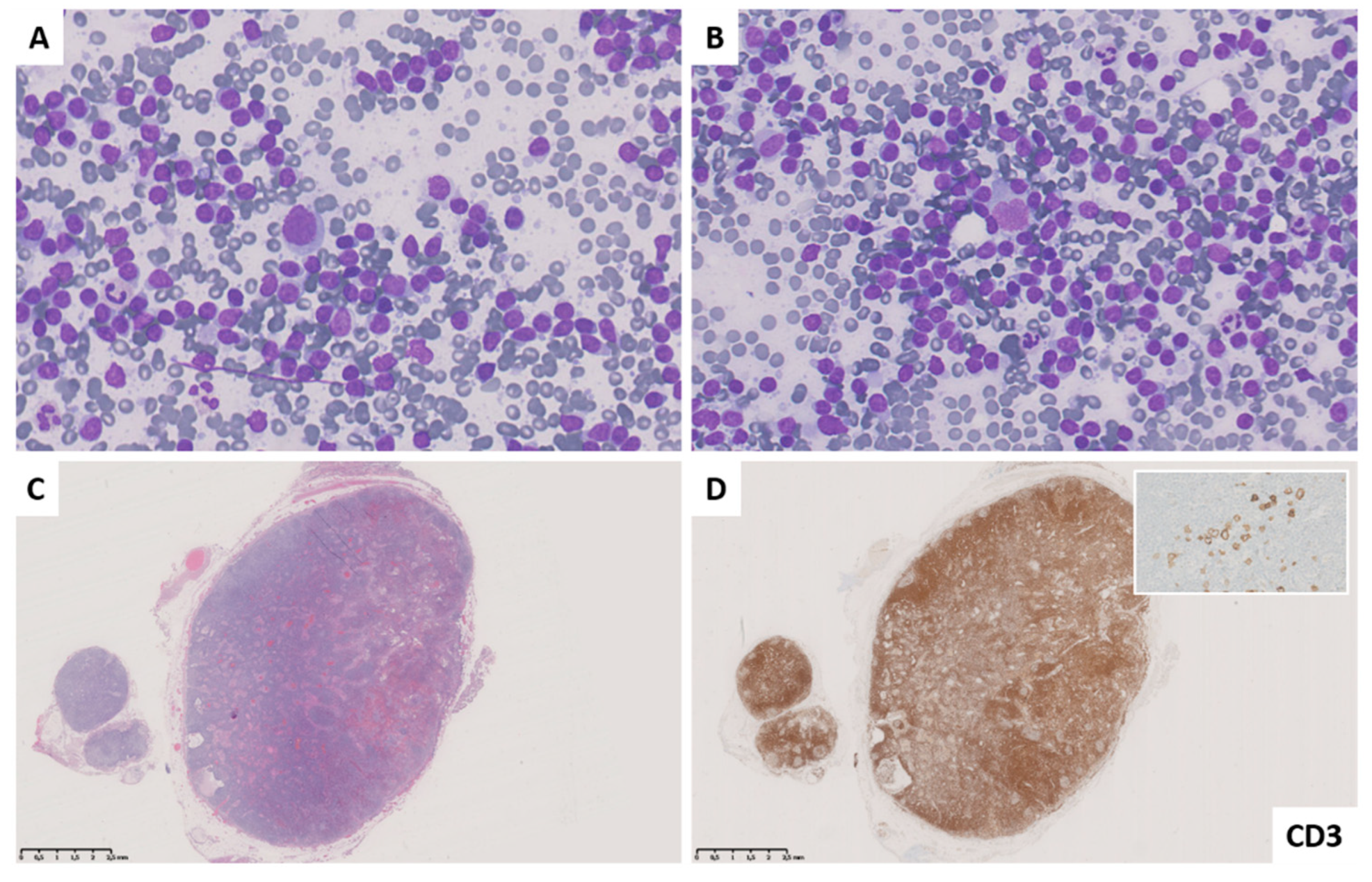 Diagnostics 11 01314 g003