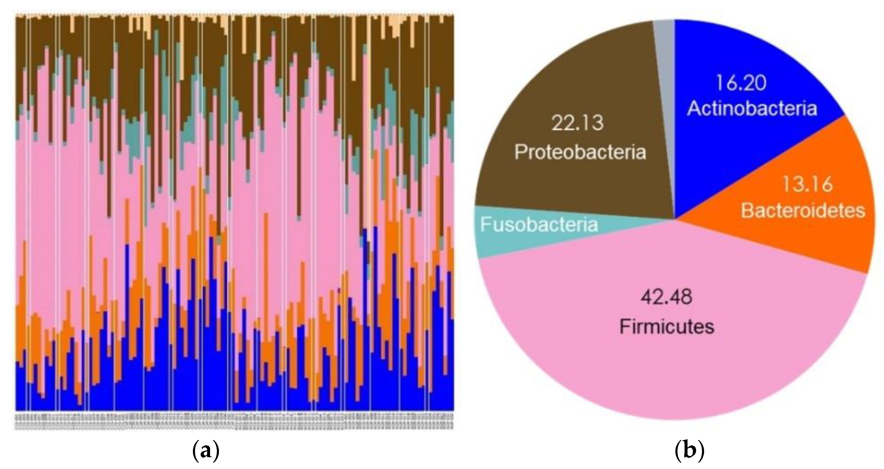 Diagnostics 11 01324 g004