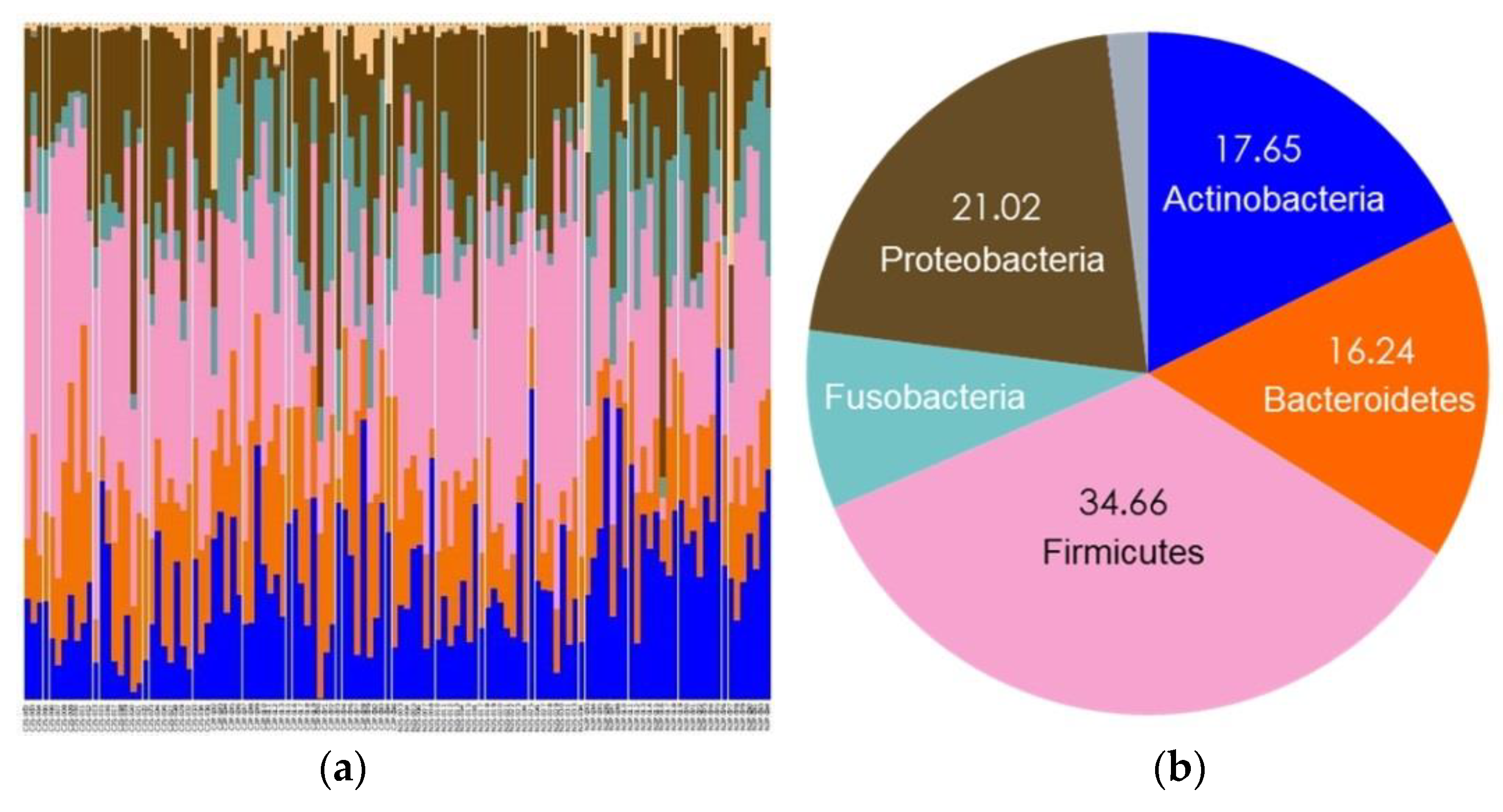 Diagnostics 11 01324 g005
