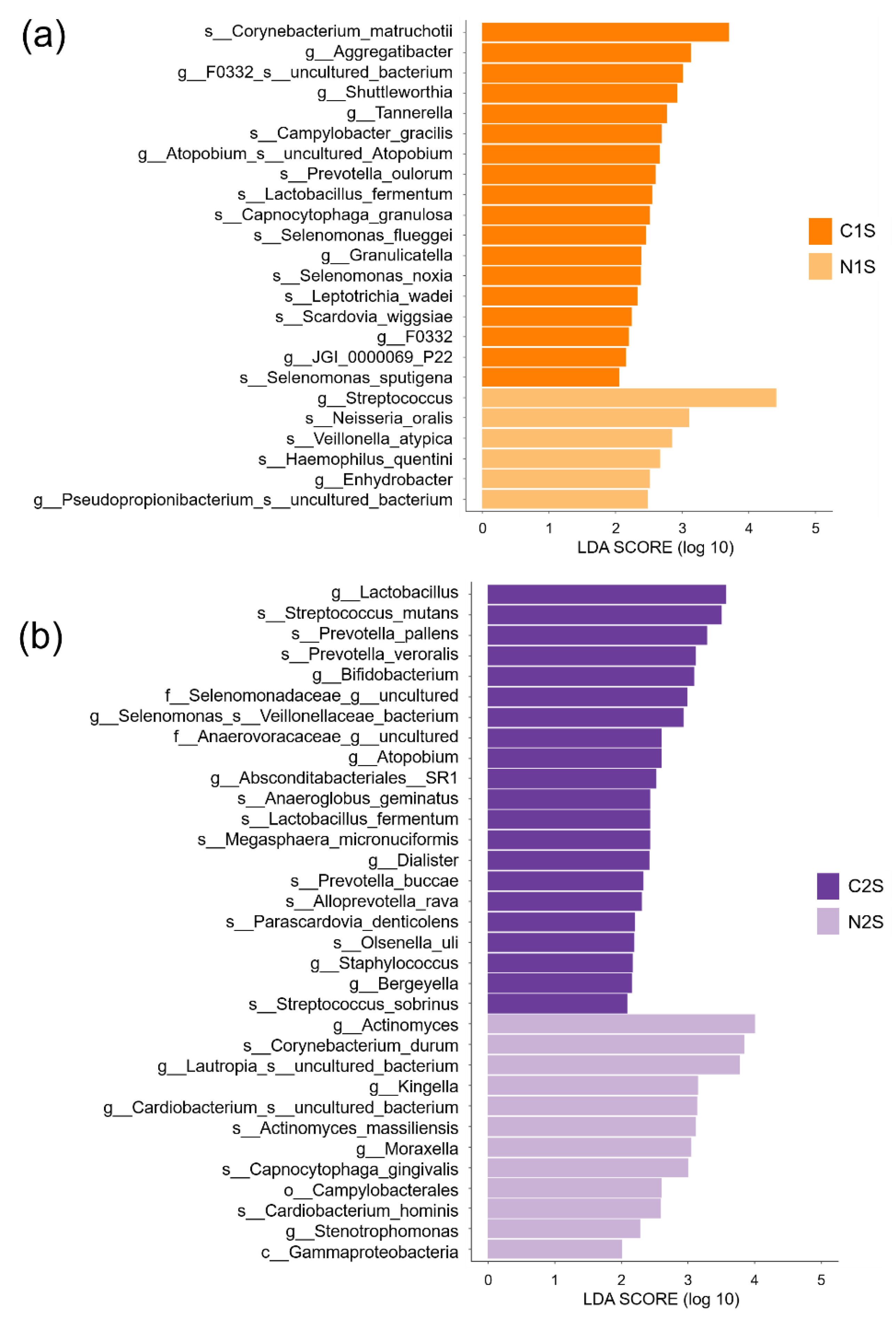 Diagnostics 11 01324 g008