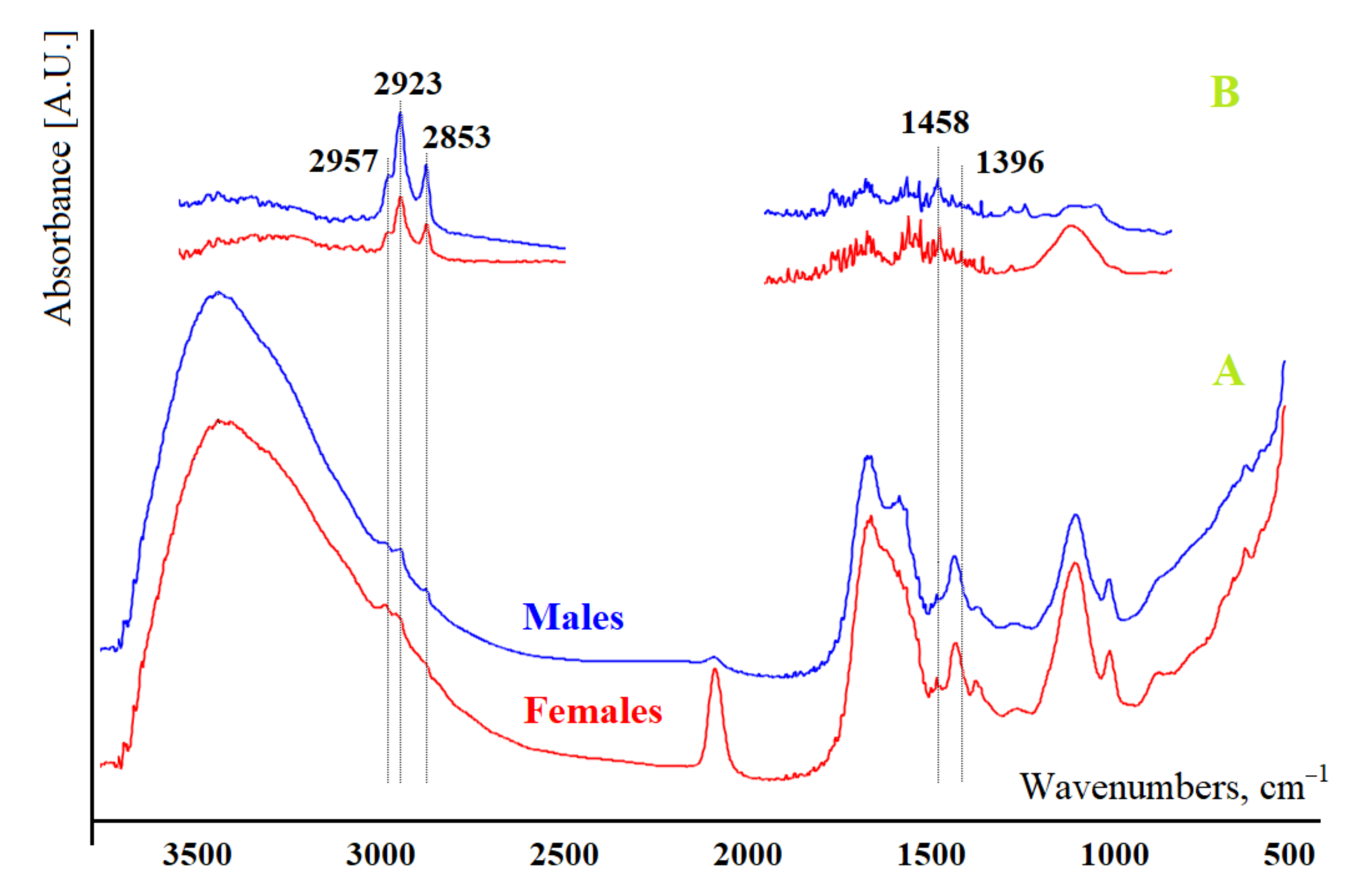 Diagnostics 11 01325 g001