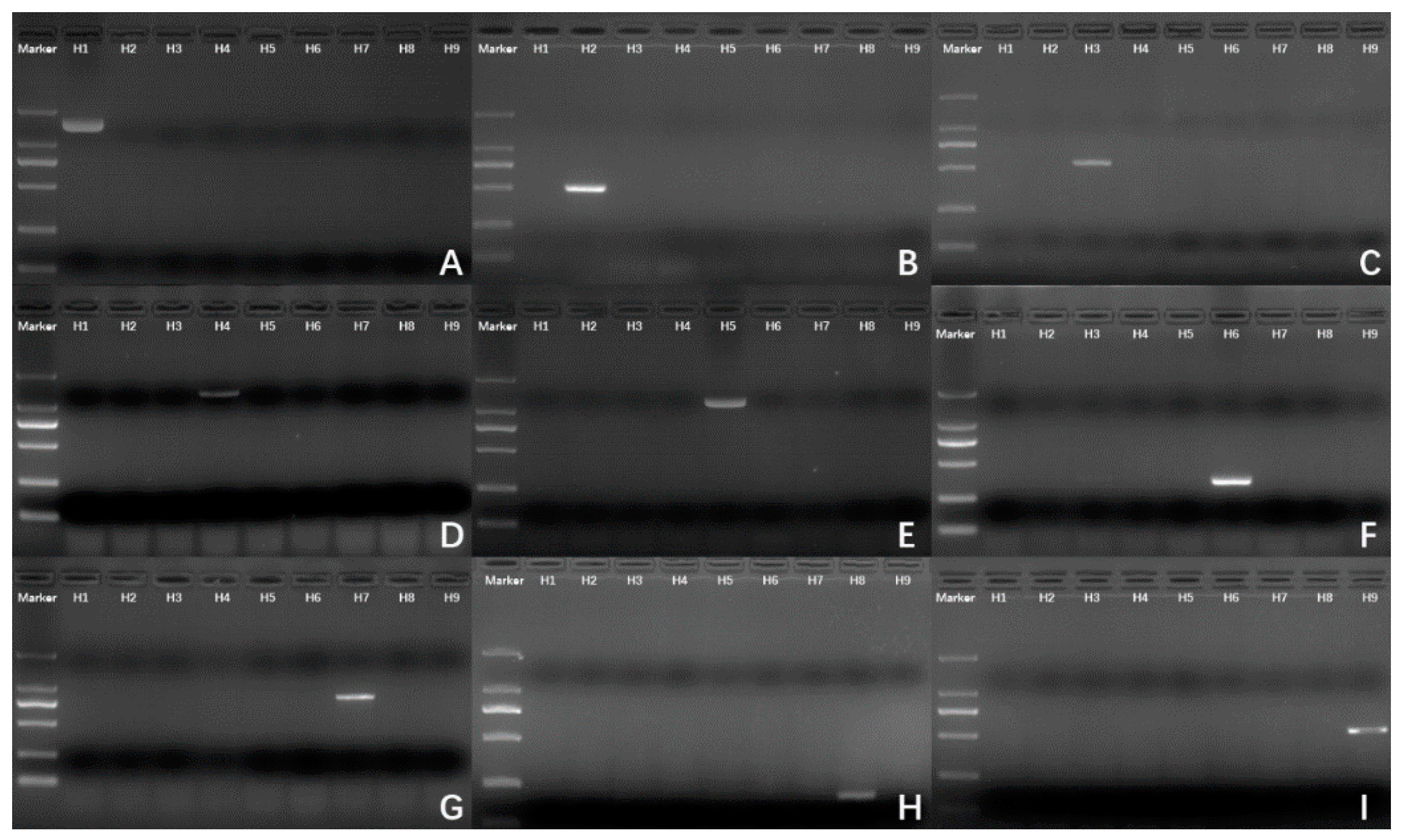 Diagnostics 11 01328 g004 550