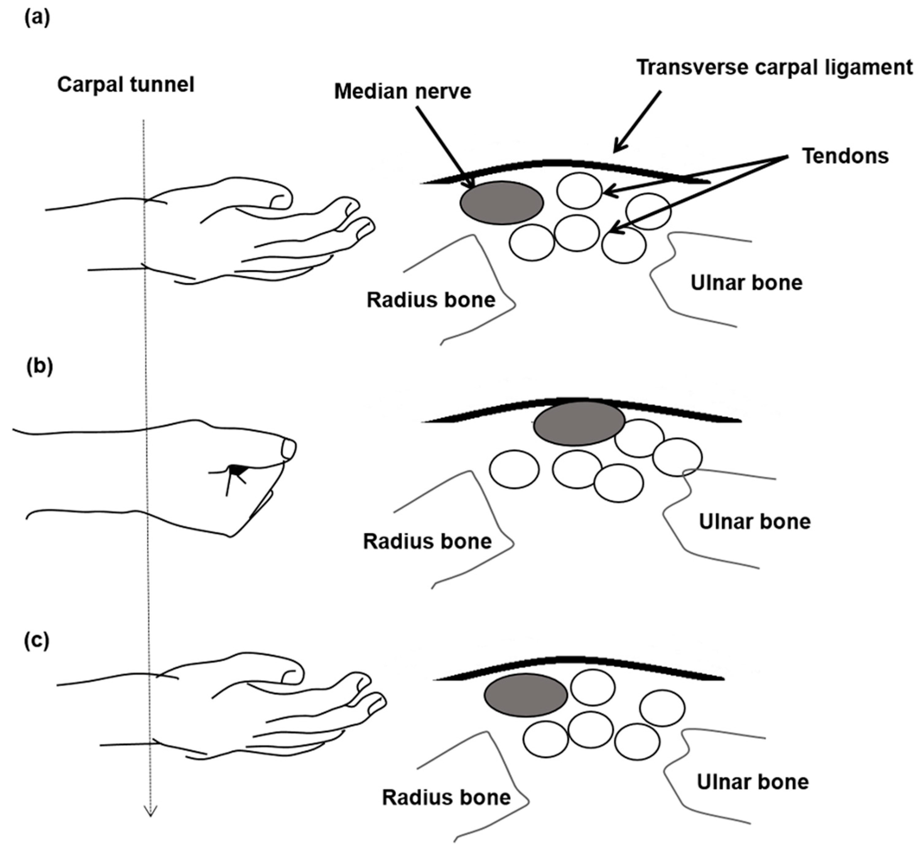 Diagnostics 11 01336 g001