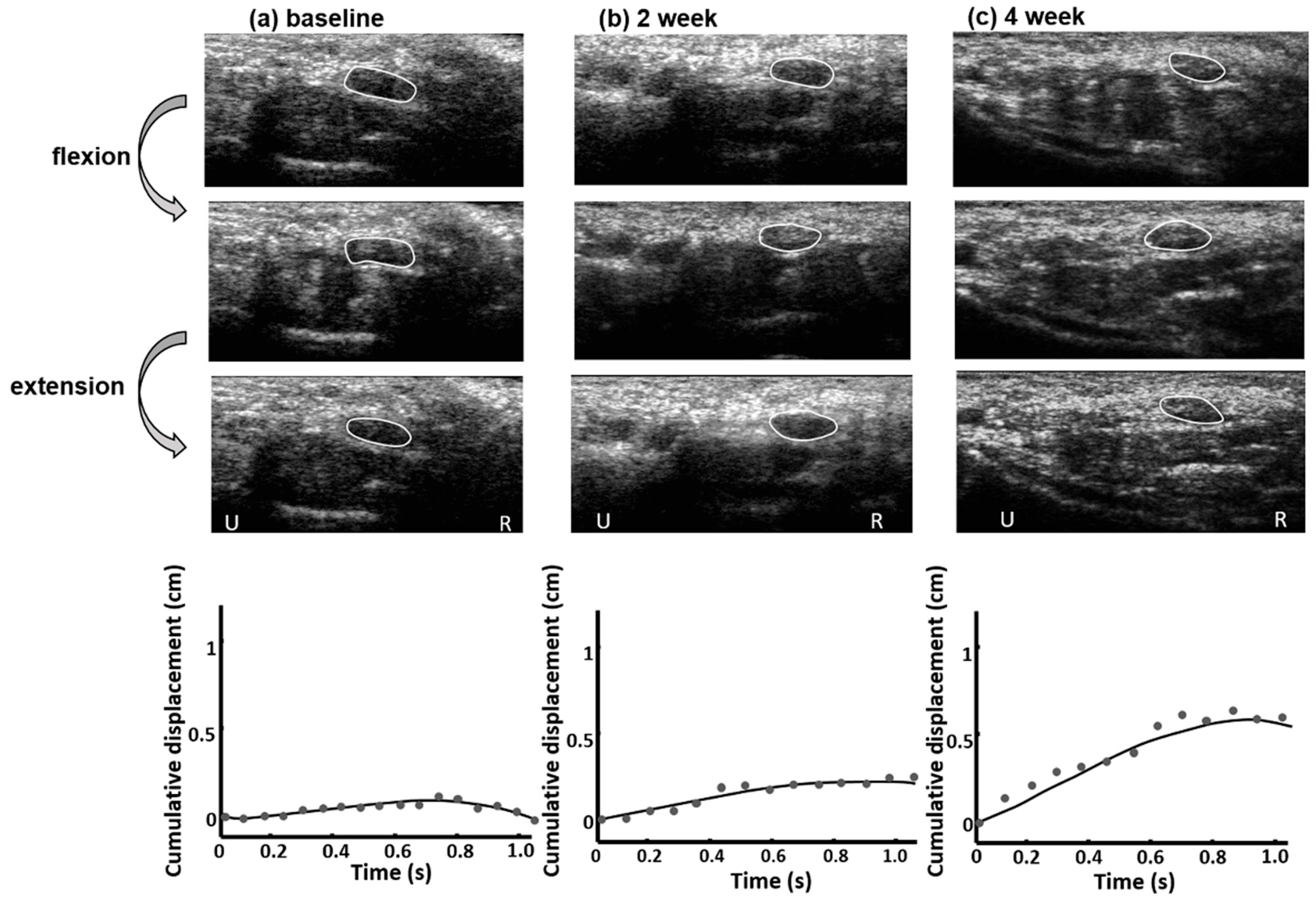 Diagnostics 11 01336 g002