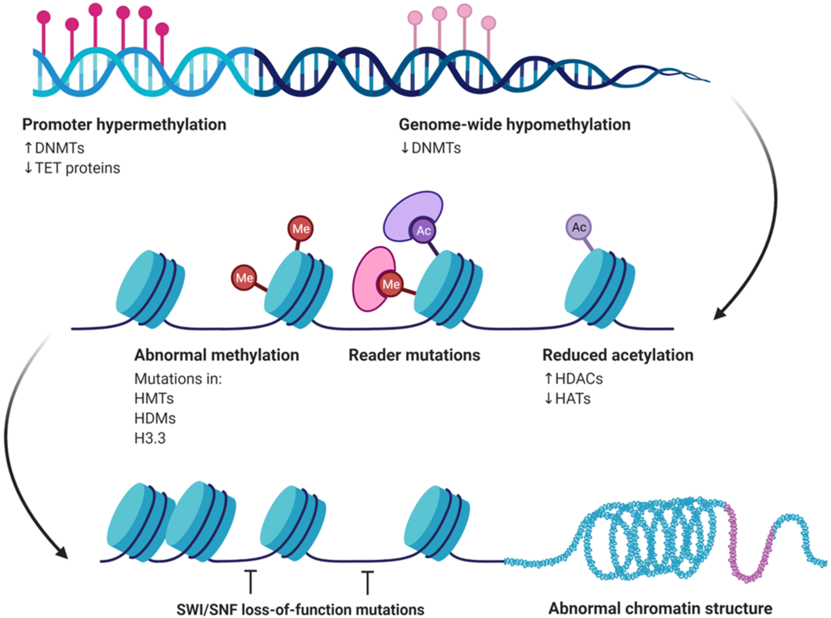 Unraveling the Epigenetic Role and Clinical Impact of