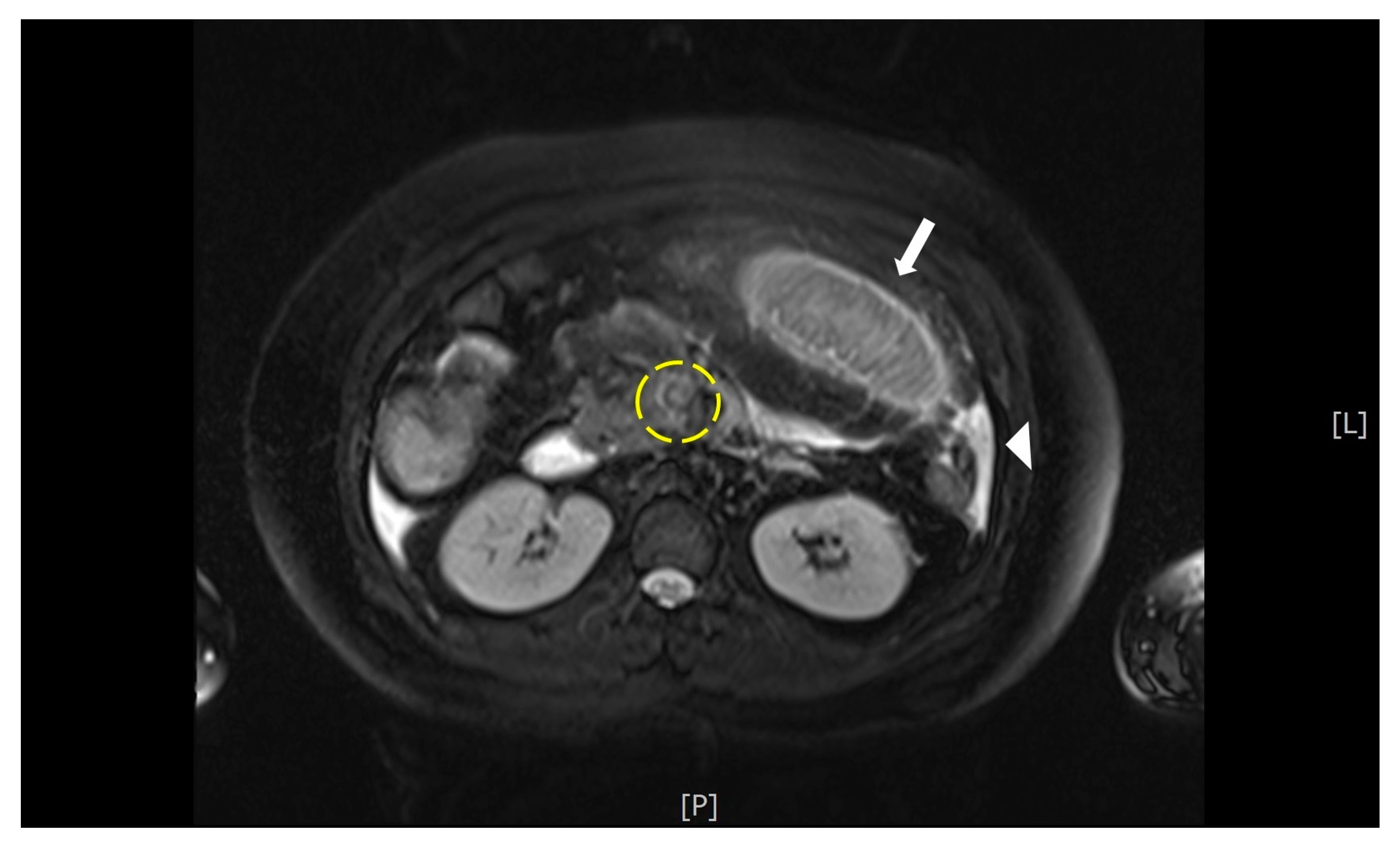 Diagnostics 11 01348 g001 550