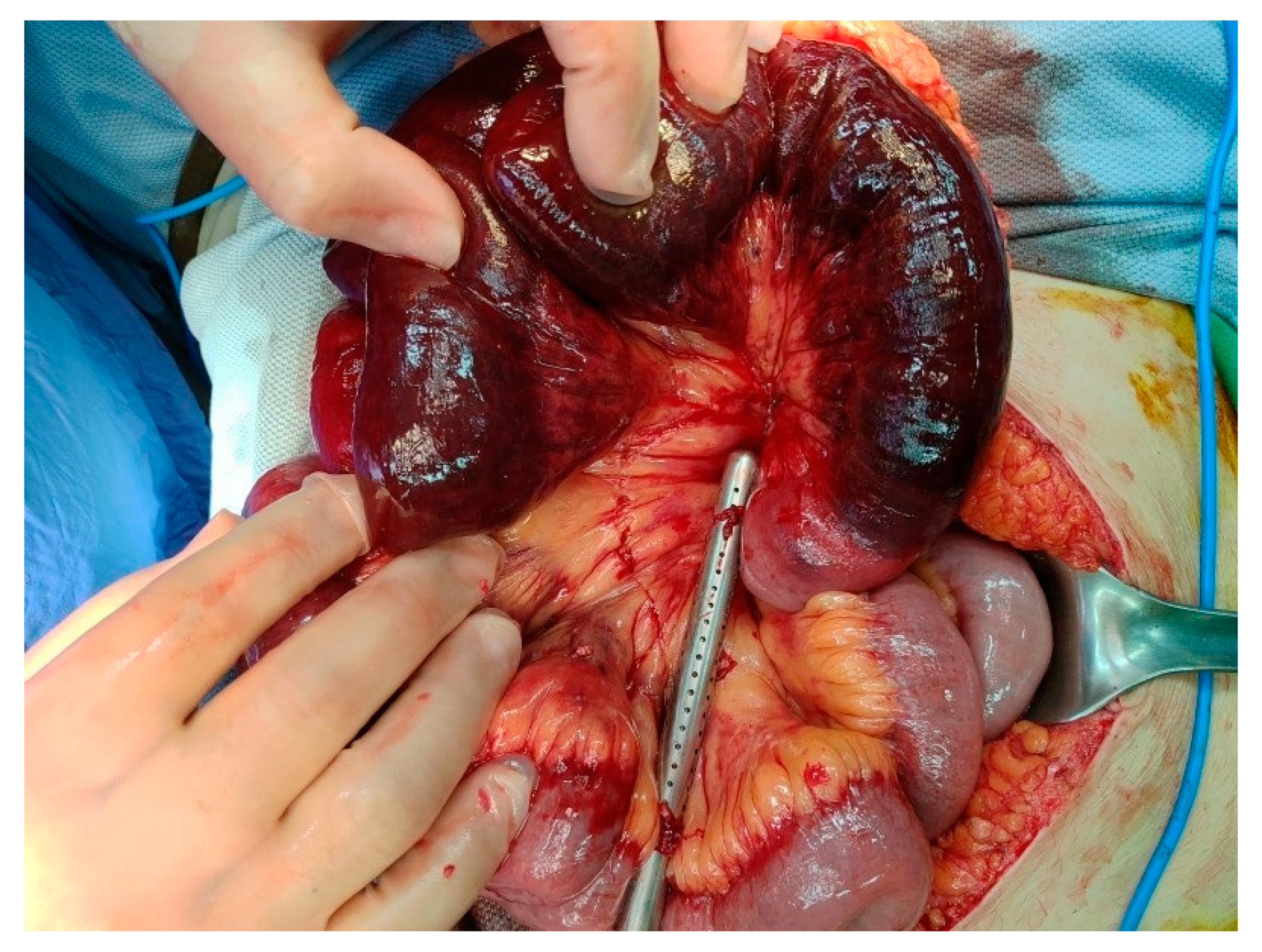 Diagnostics 11 01348 g003 550