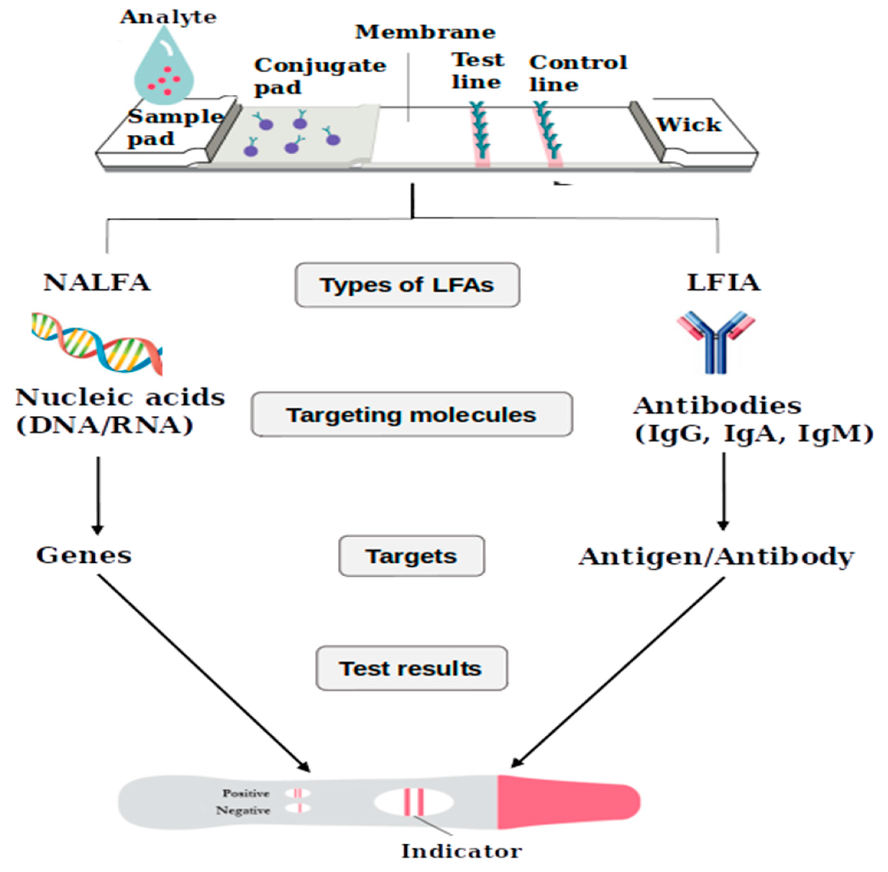 Diagnostics 11 01352 g003 Diagnostics 11 01352 g003