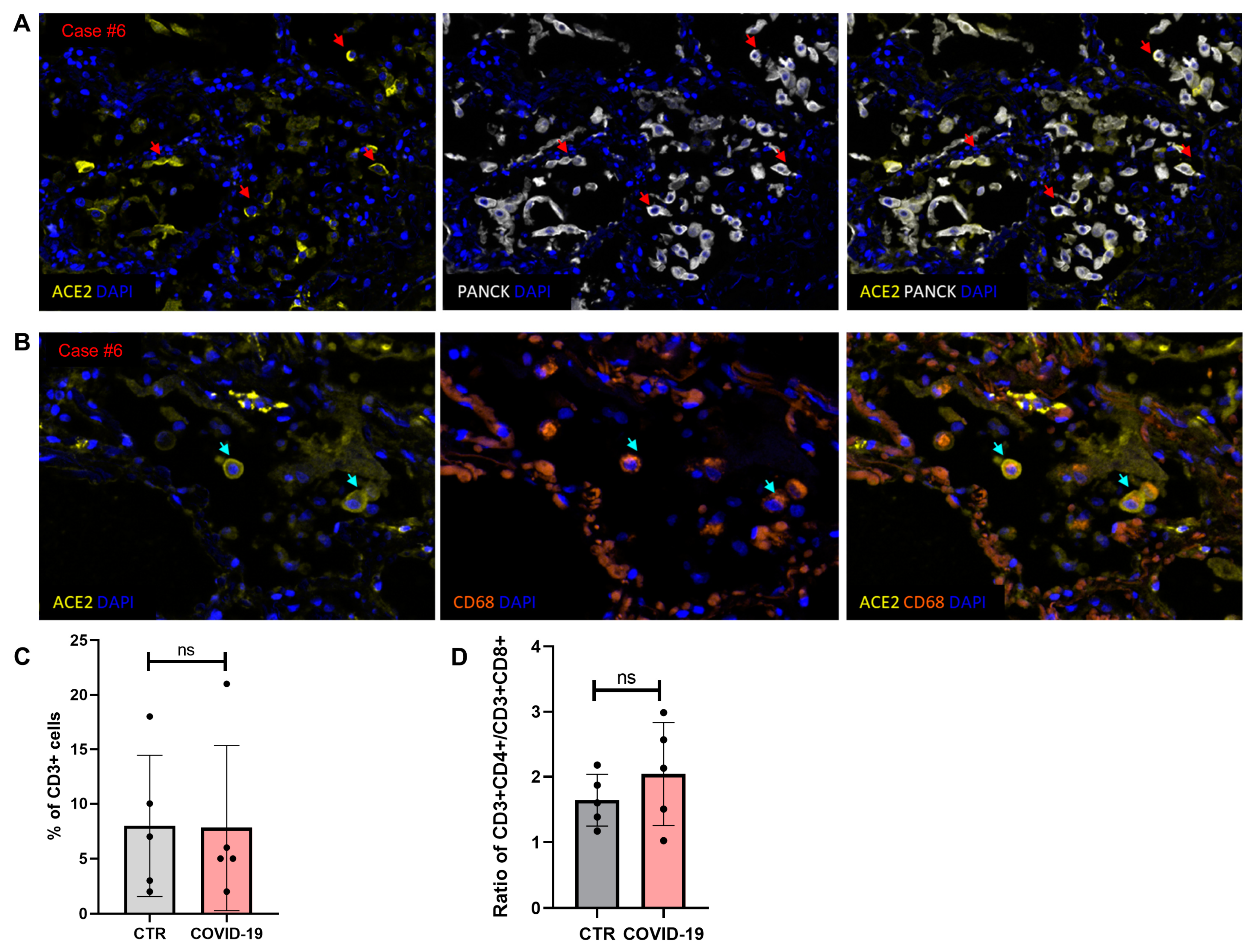 Diagnostics 11 01357 g002 Diagnostics 11 01357 g002