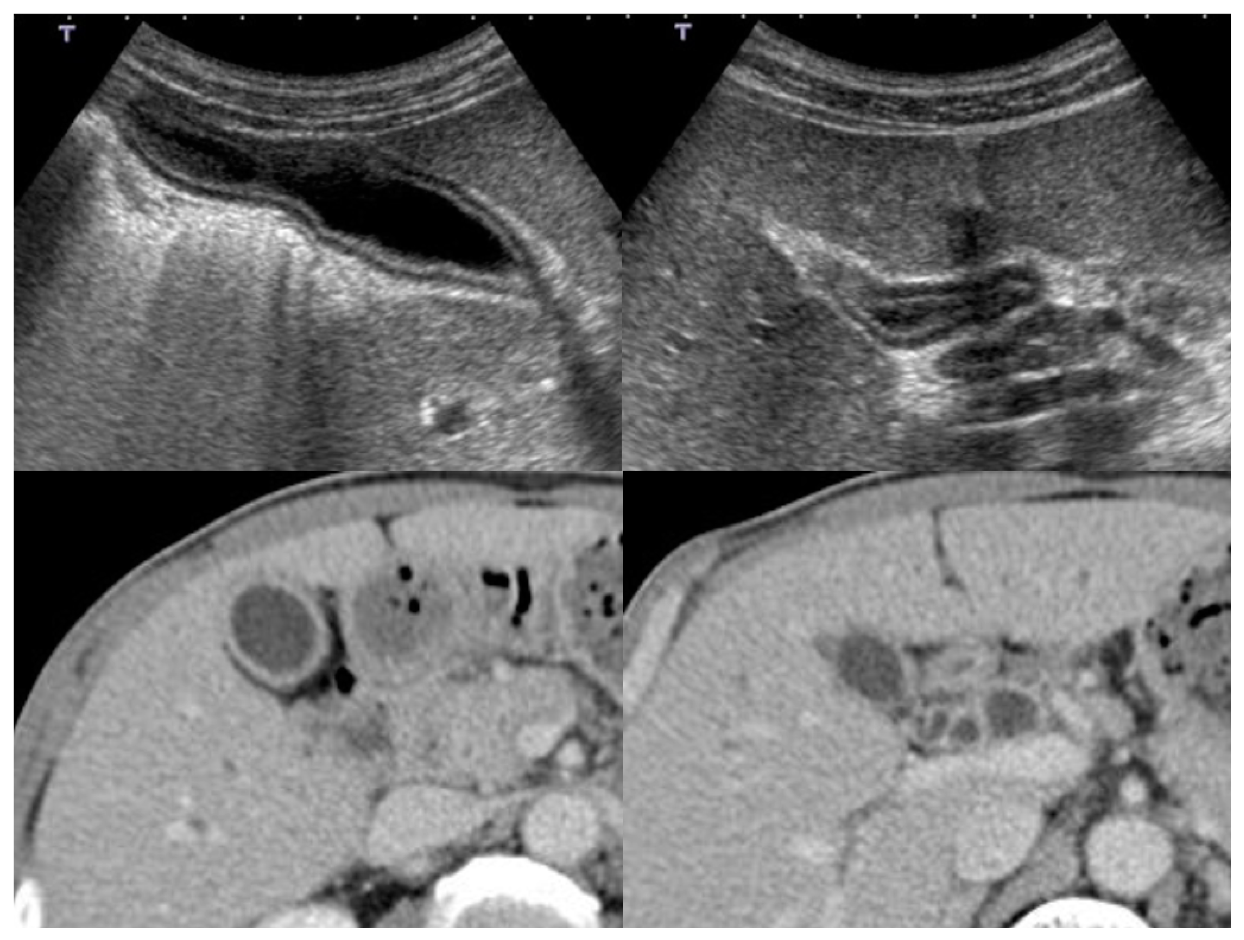 Diagnostics 11 01358 g002 Diagnostics 11 01358 g002