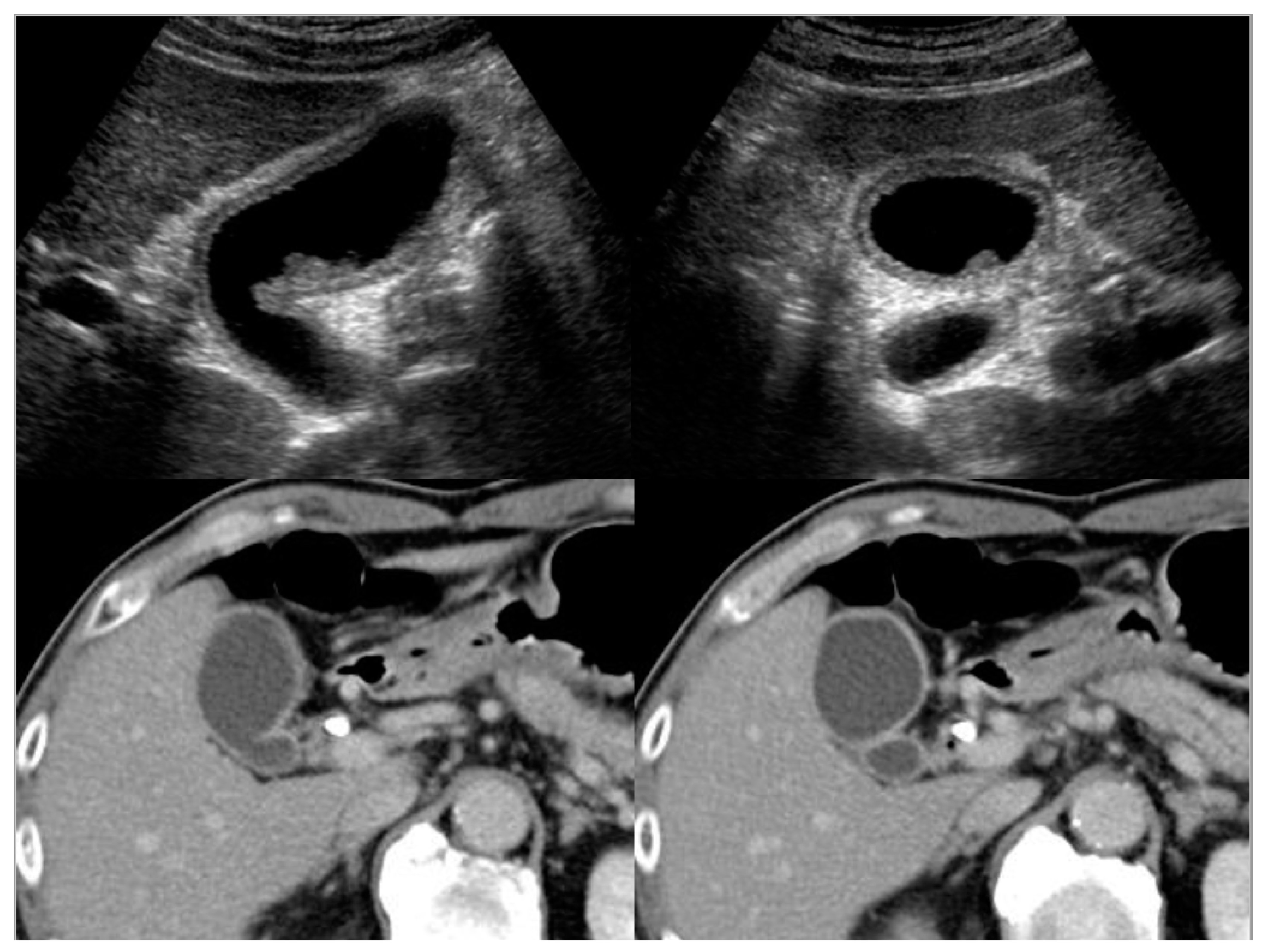 Diagnostics 11 01358 g003 Diagnostics 11 01358 g003