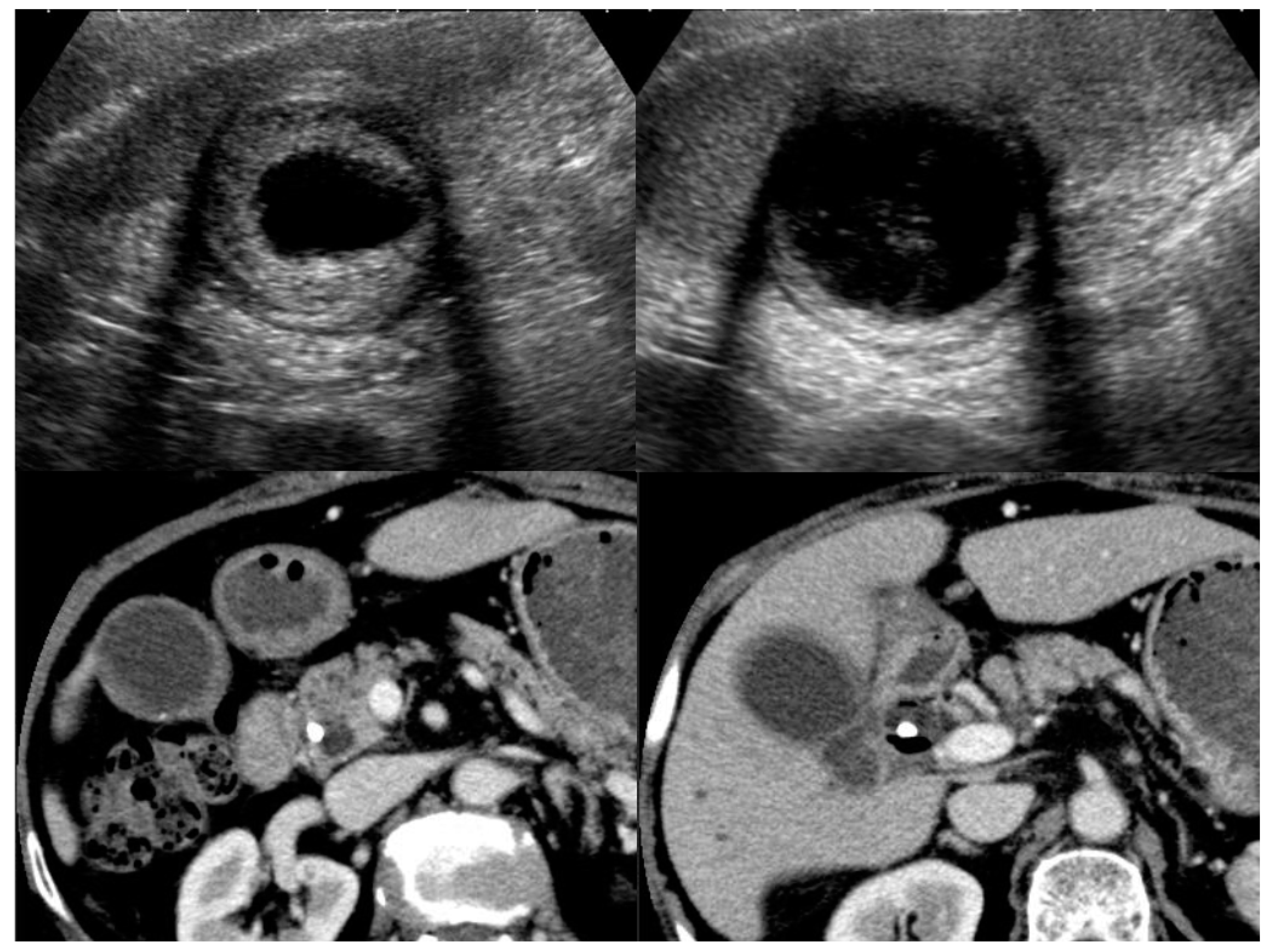 Diagnostics 11 01358 g004 Diagnostics 11 01358 g004