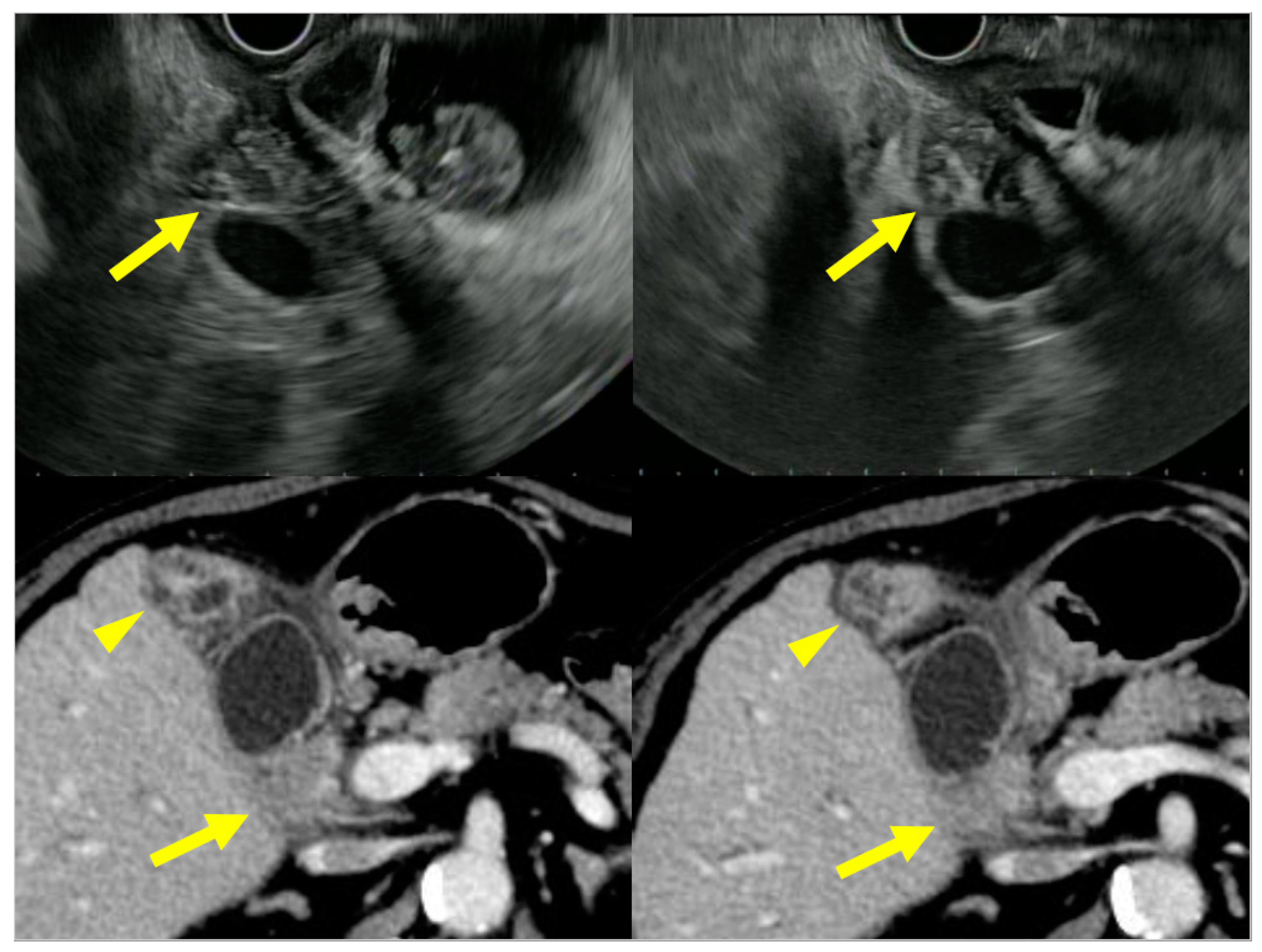 Diagnostics 11 01358 g009 Diagnostics 11 01358 g009