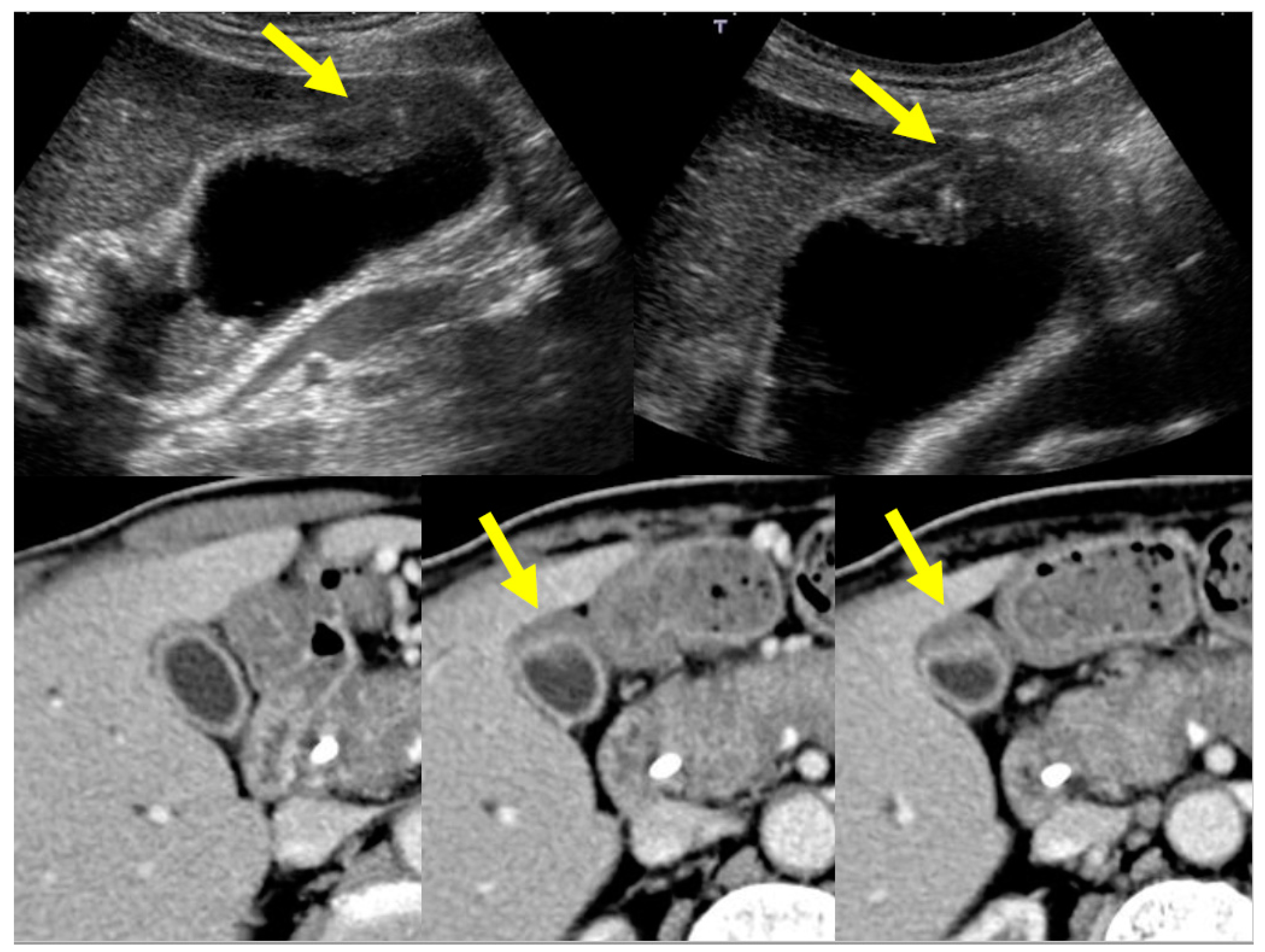 Diagnostics 11 01358 g010 Diagnostics 11 01358 g010