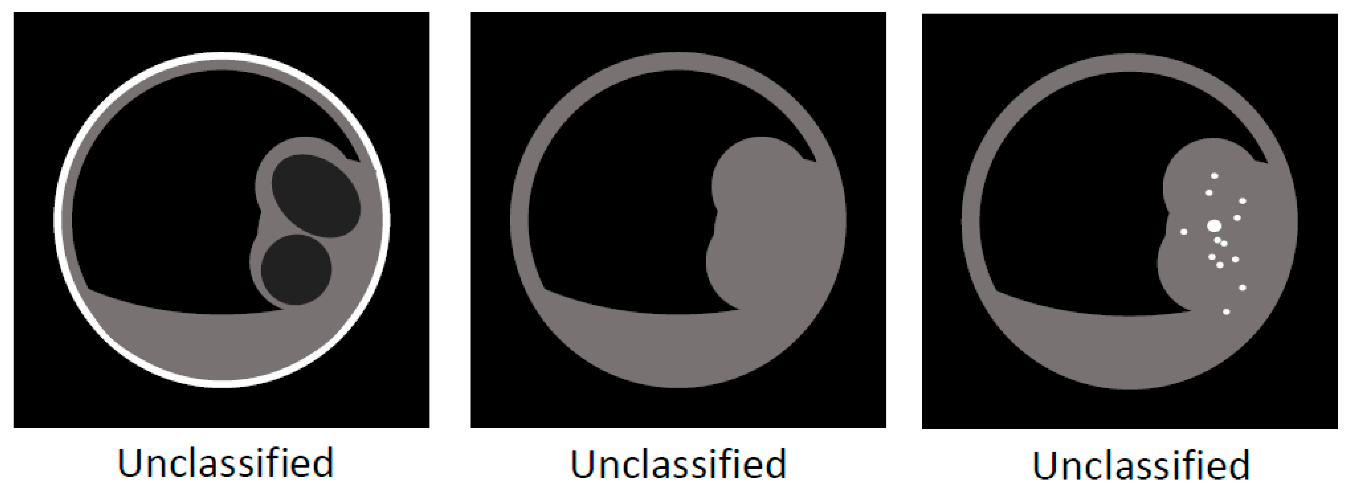 Diagnostics 11 01358 g012 Diagnostics 11 01358 g012