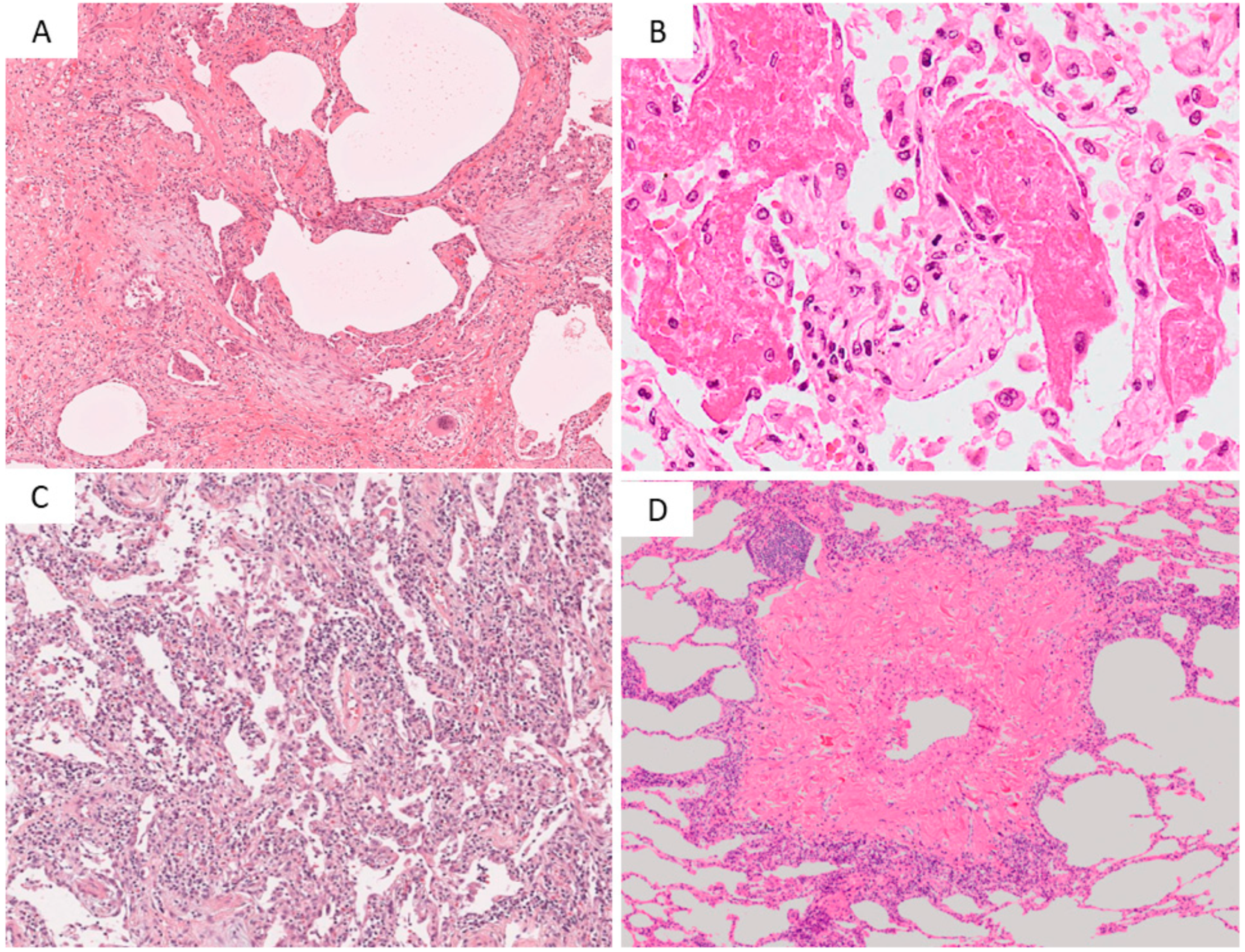Diagnostics 11 01359 g001 550