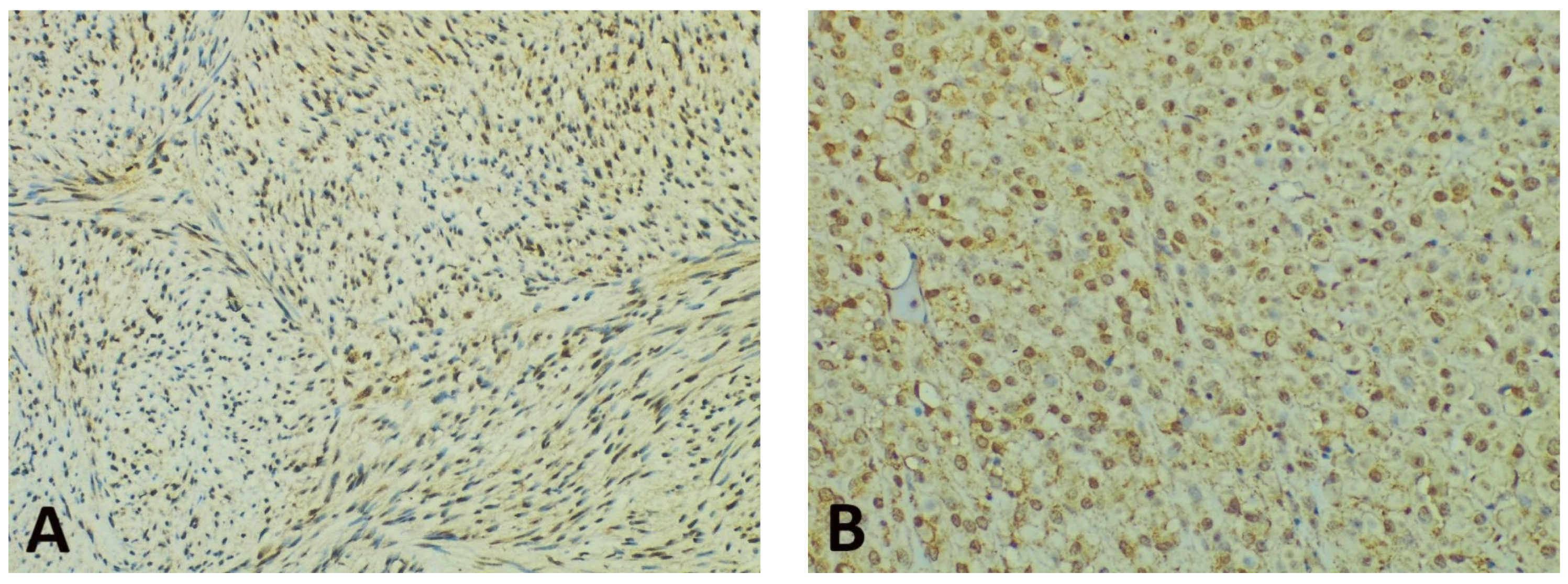 Diagnostics 11 01361 g003a